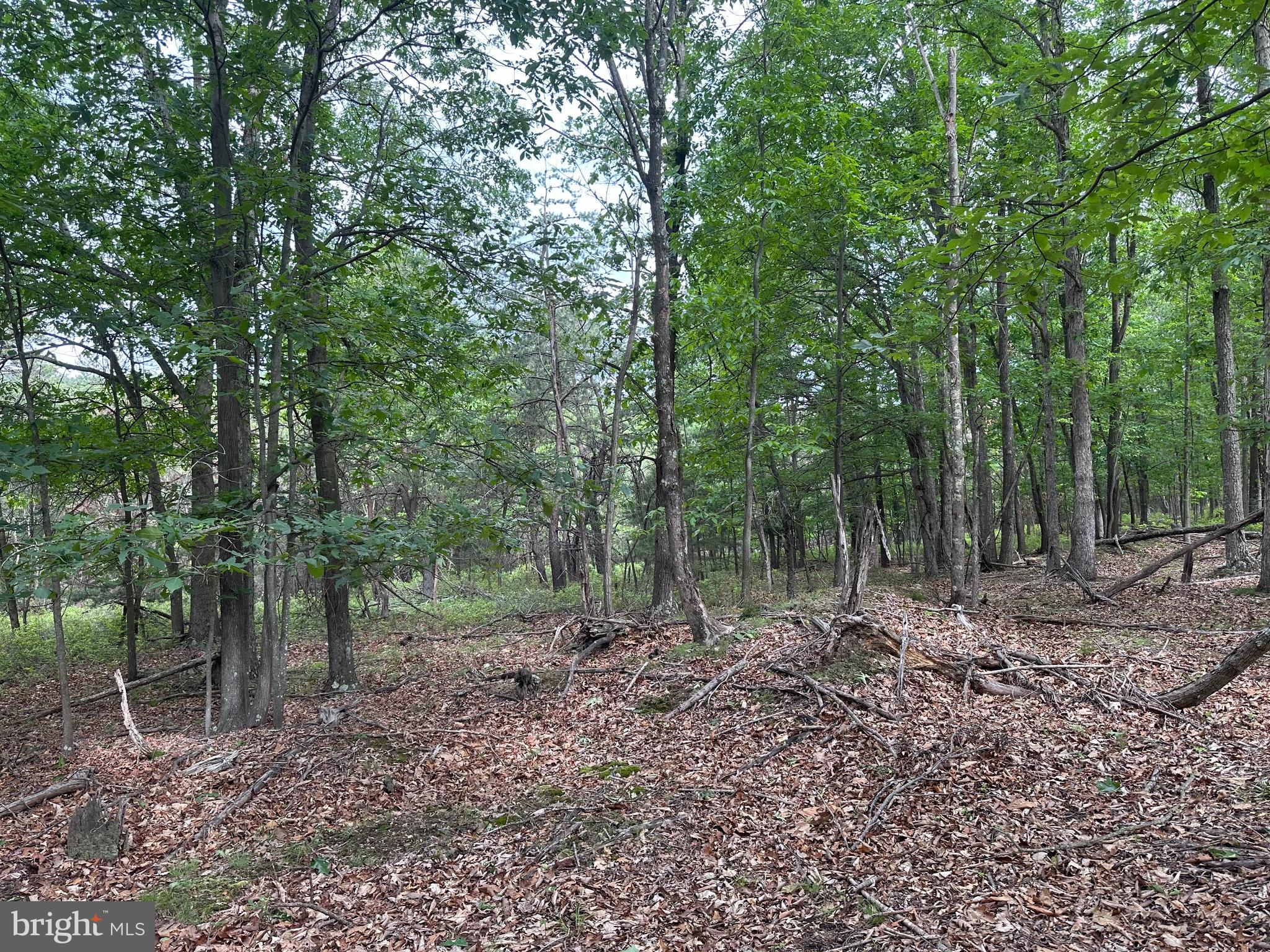 BLUFFS ON THE POTOMAC - Land