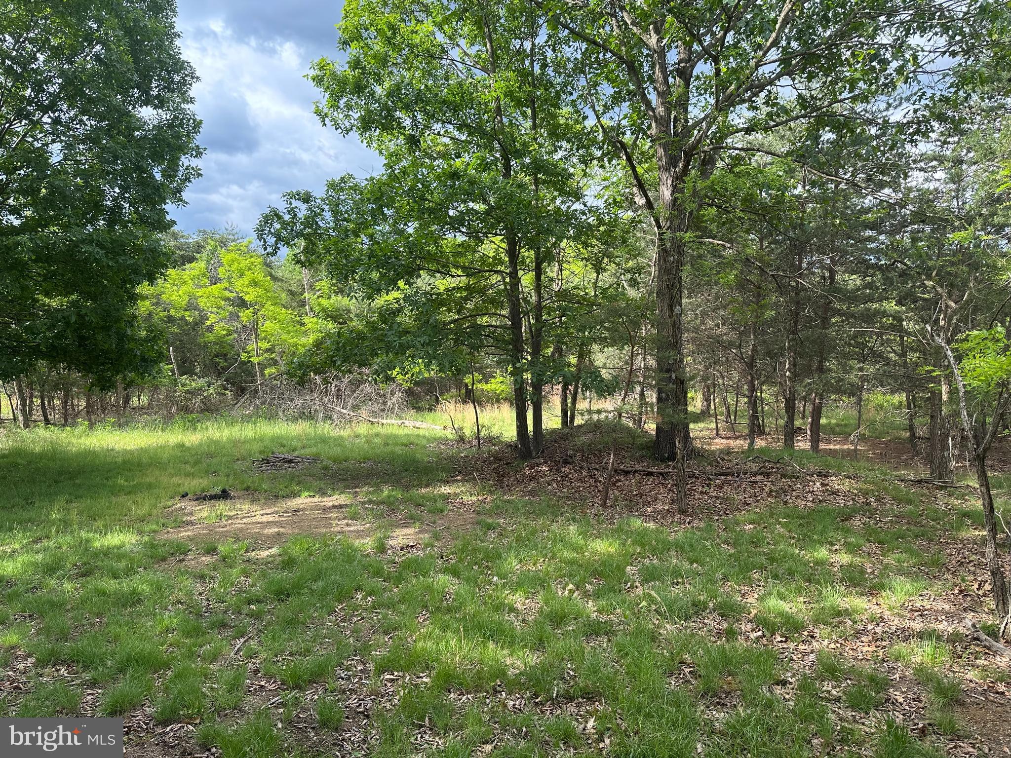 BLUFFS ON THE POTOMAC - Land