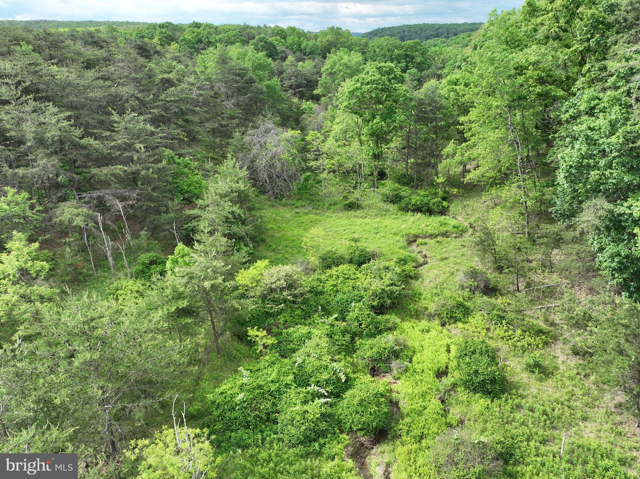 BLUFFS ON THE POTOMAC - Land