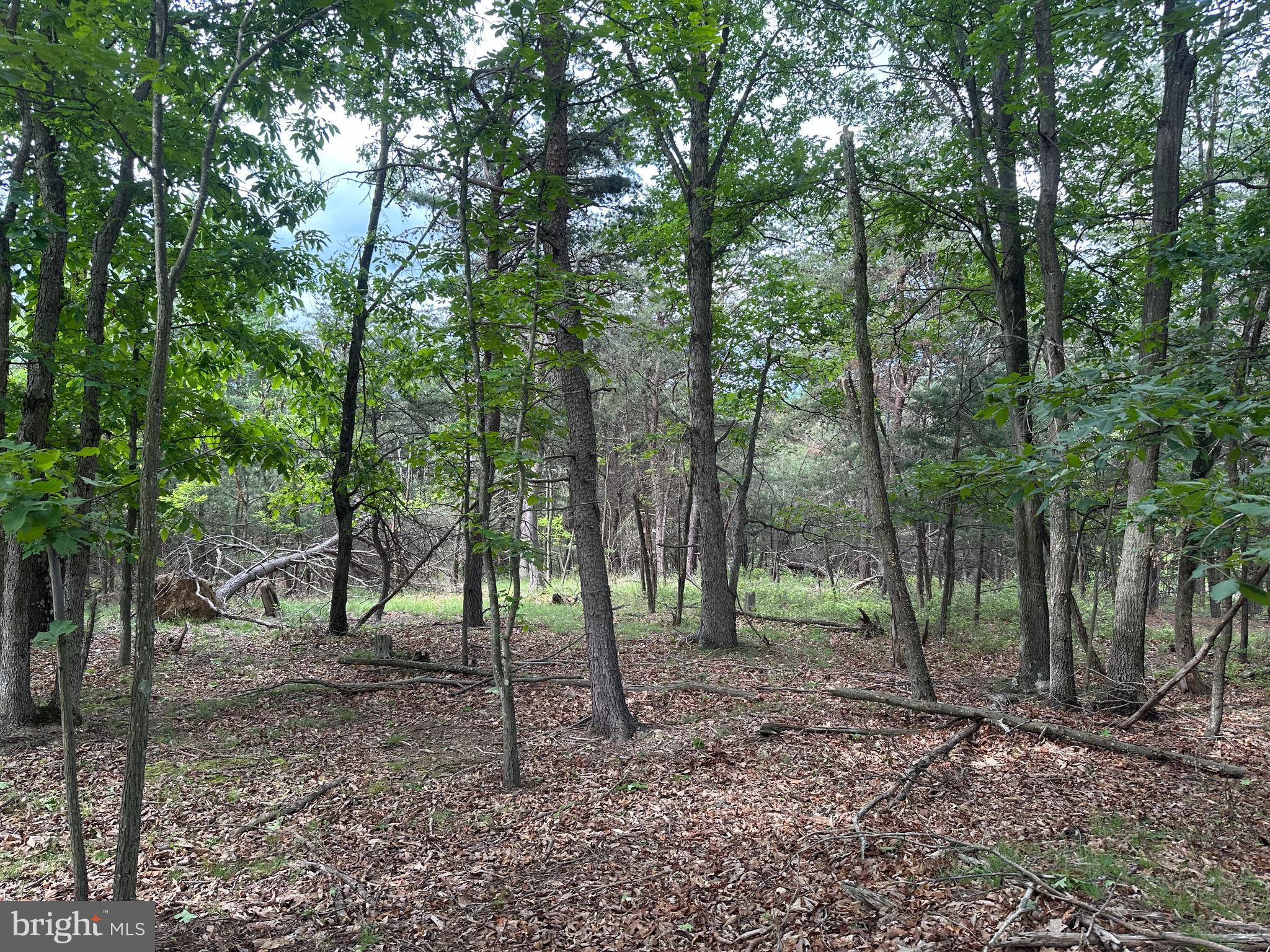 BLUFFS ON THE POTOMAC - Land