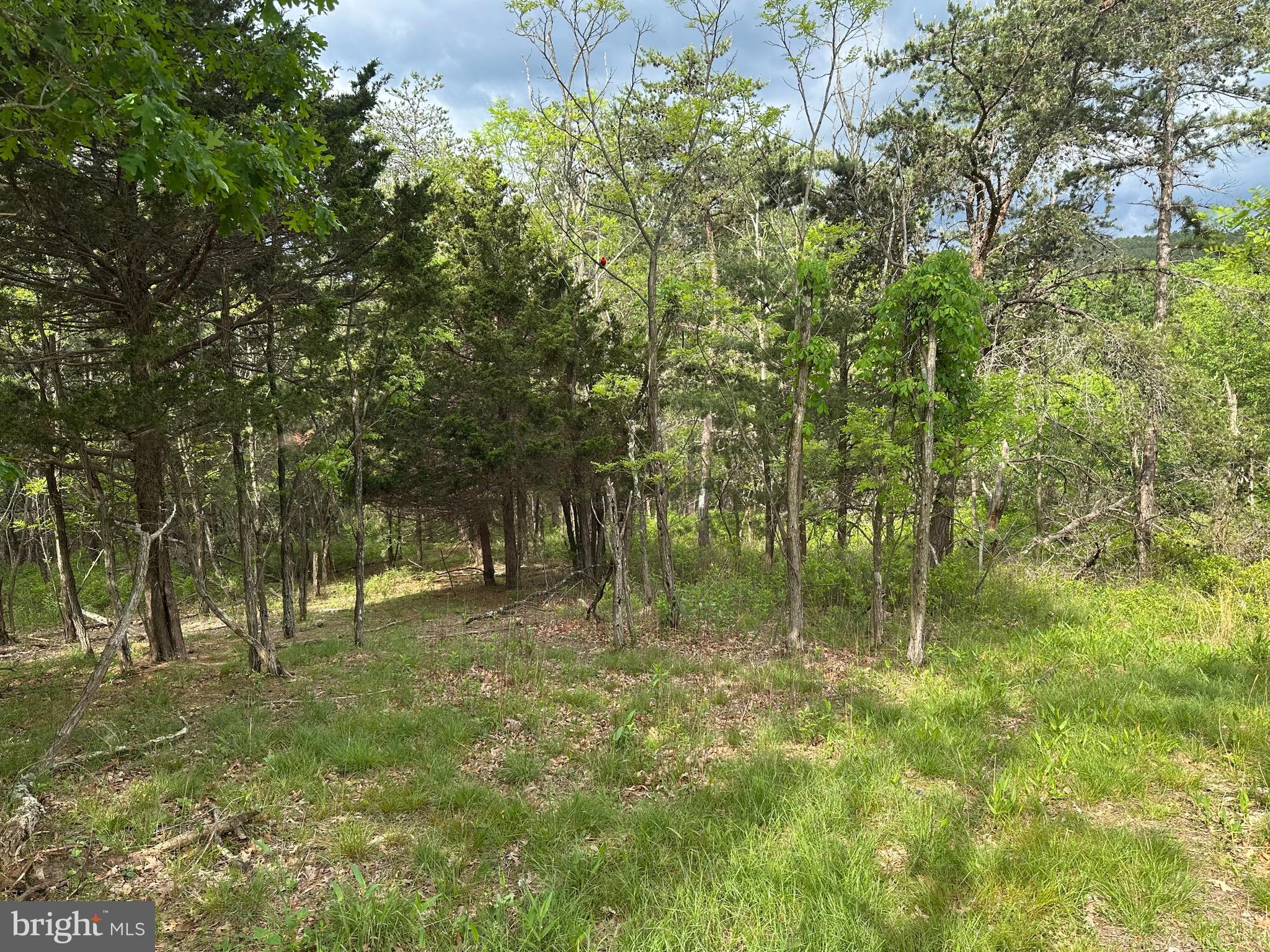 BLUFFS ON THE POTOMAC - Land