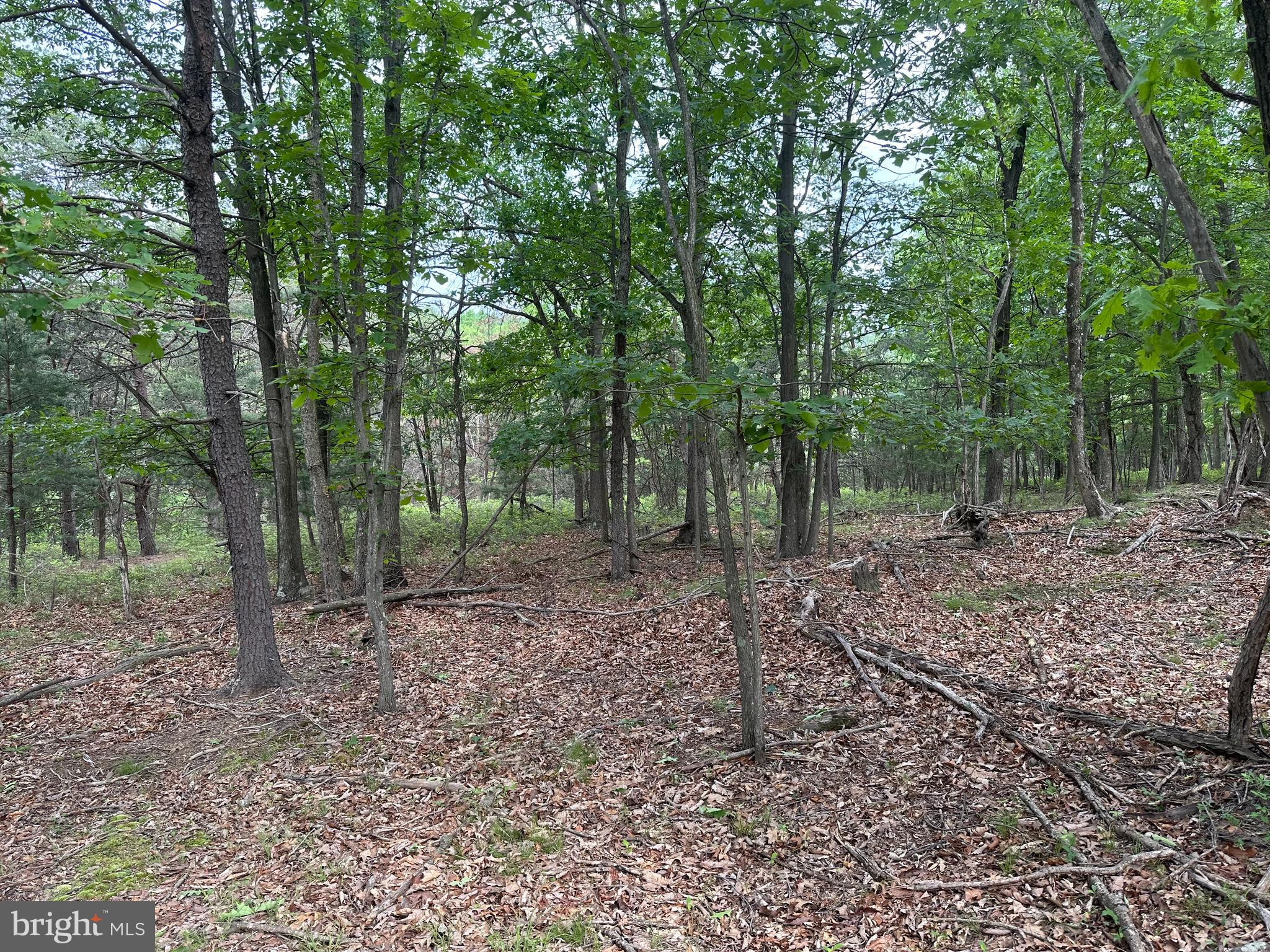 BLUFFS ON THE POTOMAC - Land