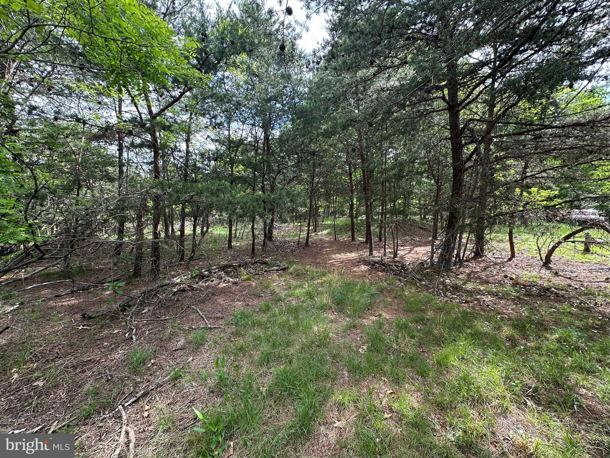 BLUFFS ON THE POTOMAC - Land