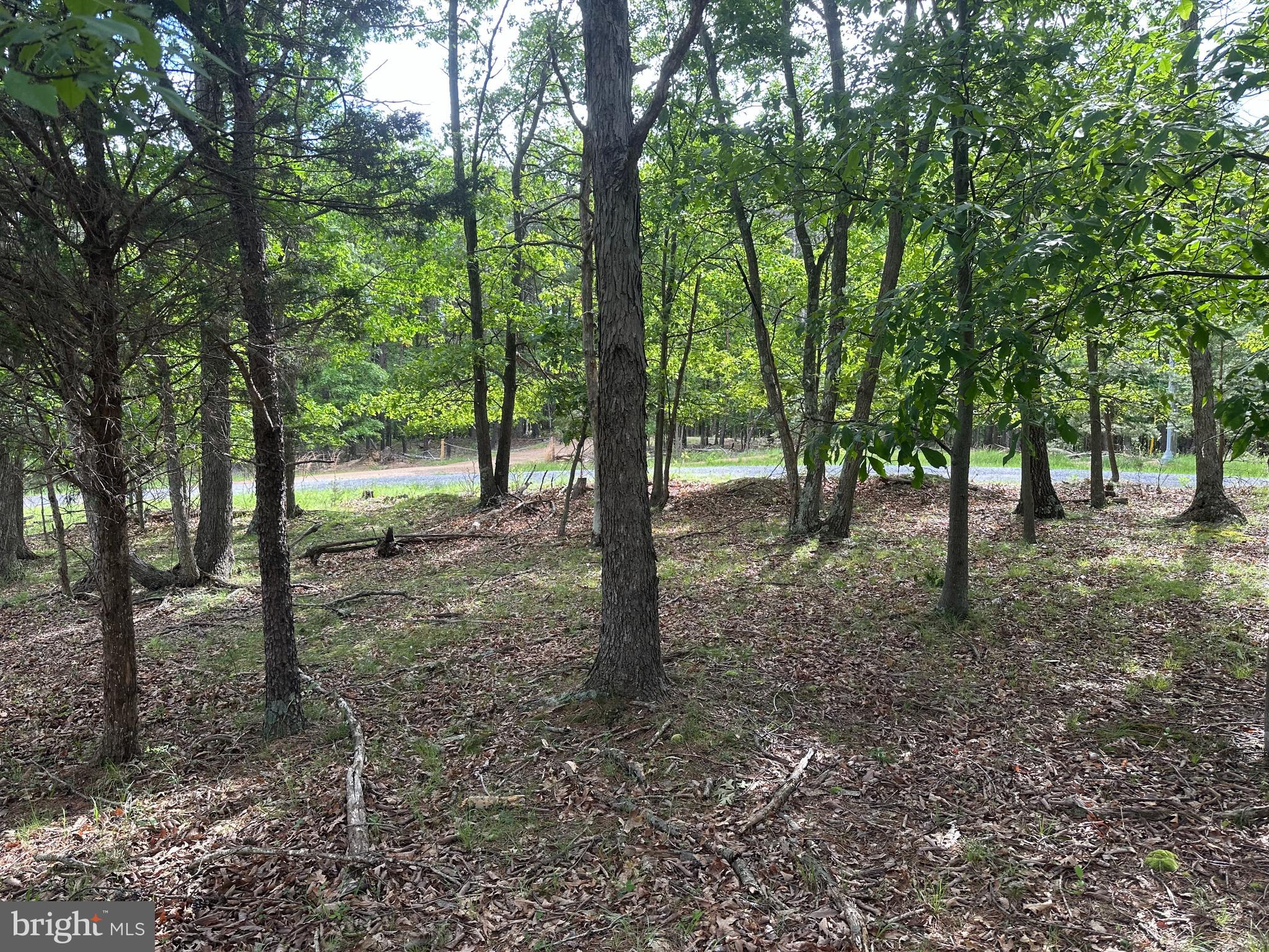 BLUFFS ON THE POTOMAC - Land