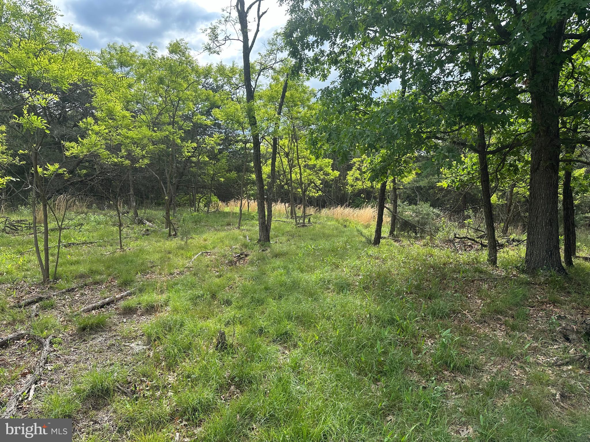 BLUFFS ON THE POTOMAC - Land
