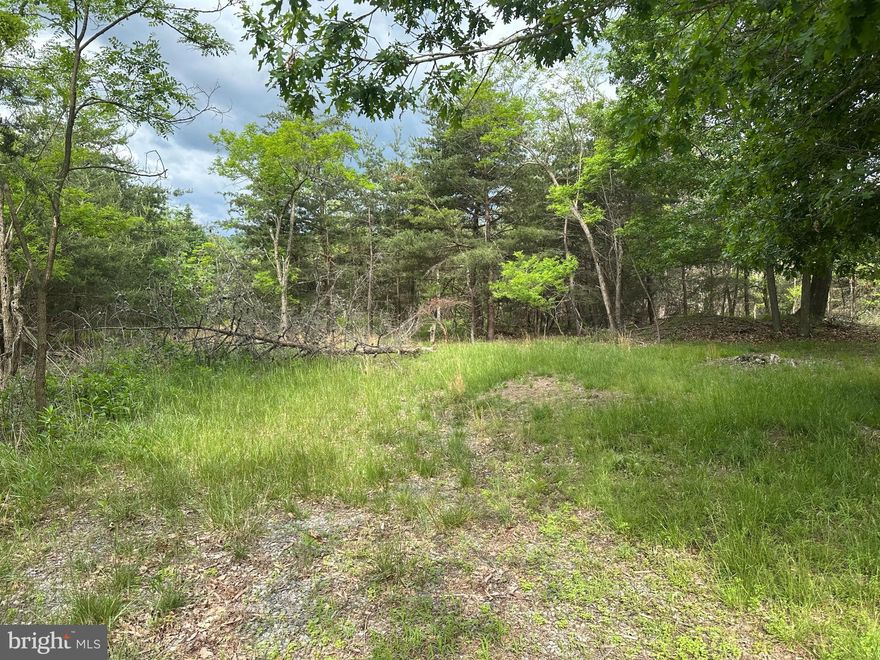 20.48 Acres of Untamed West Virginia – Lot 154, The Bluffs on the Potomac. Here’s your chance to own the kind of land that’s getting harder to find—raw, untamed, and ready for whatever you’ve got planned. Lot 154 in The Bluffs on the Potomac offers 20.48 acres of rugged mountain ground with real features: mature hardwoods, solid terrain, and a seasonal stream known as Long Run that winds through the property. It’s quiet, private, and has the bones for something special. A cleared area is already in place, ideal for a cabin, hunting camp, or just a spot to pitch a tent and light a fire. You’ll find good ground for food plots and game trails—this is prime deer and turkey country, with the occasional bear passing through. Unlike many mountain tracts, this one is easy to work with: usable topography, reliable access, and power nearby. As part of The Bluffs community, you’ll also enjoy private access to the South Branch of the Potomac River—perfect for fishing, kayaking, or simply cooling off with your feet in the water.
Just two hours from the Beltway, but a world away from the noise—no crowds, no hassle. Just land—real land—waiting for a new owner who knows exactly what to do with it.