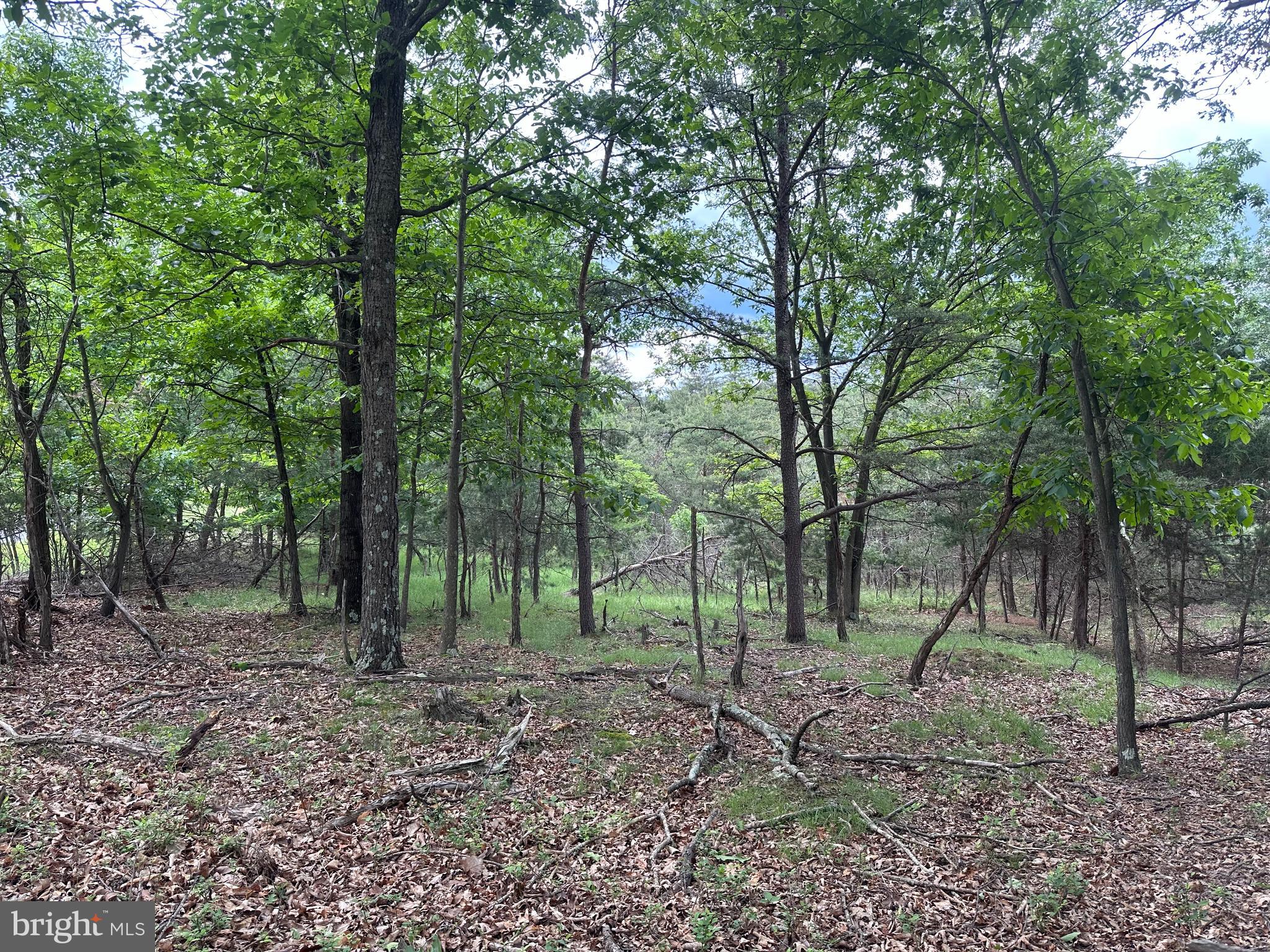 BLUFFS ON THE POTOMAC - Land