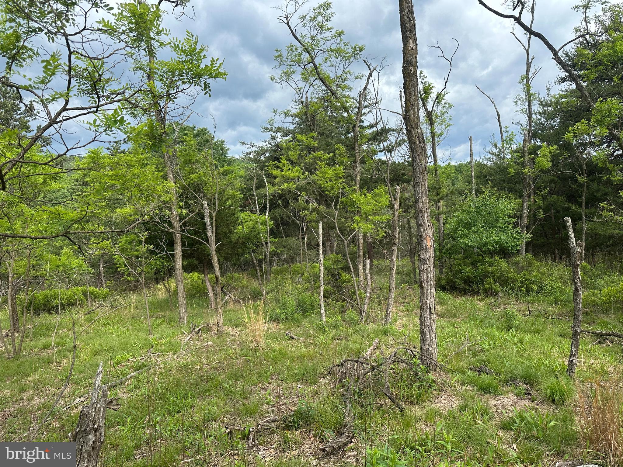 BLUFFS ON THE POTOMAC - Land