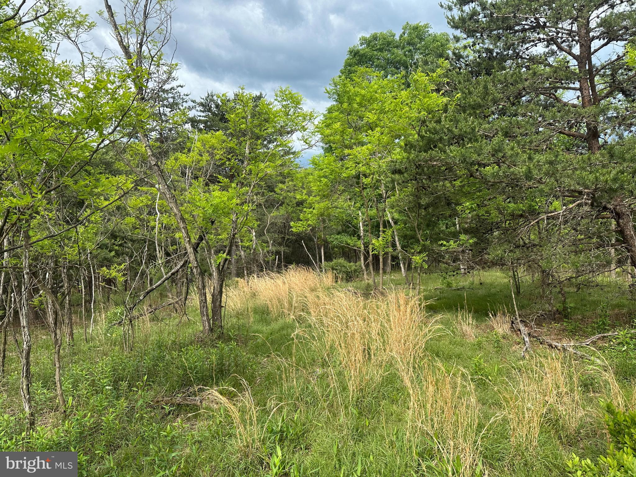 BLUFFS ON THE POTOMAC - Land