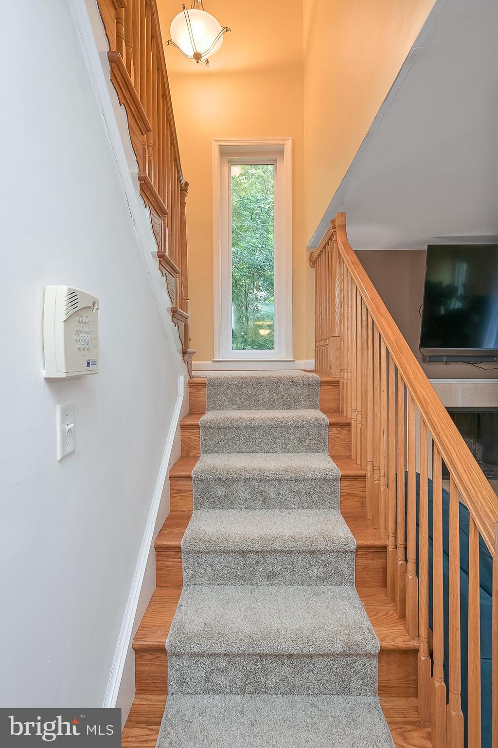 CROSS FOX - Residential