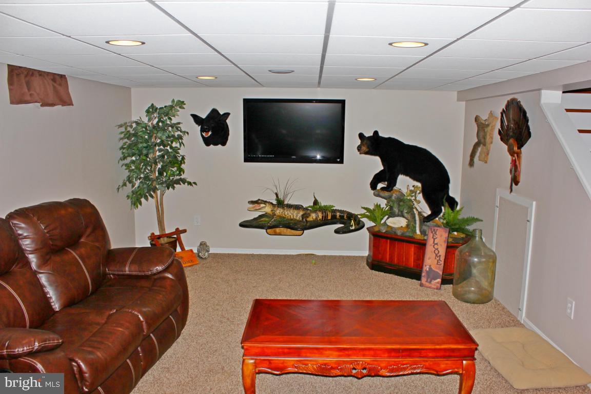 MANHEIM BOROUGH - Residential