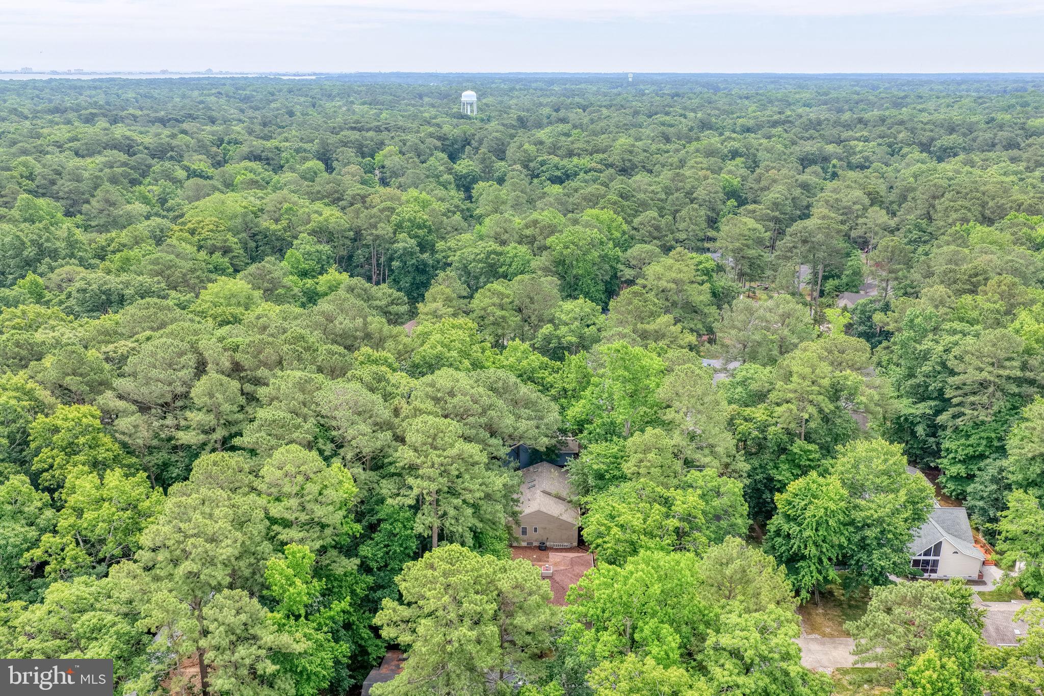 26 BURR HILL DRIVE