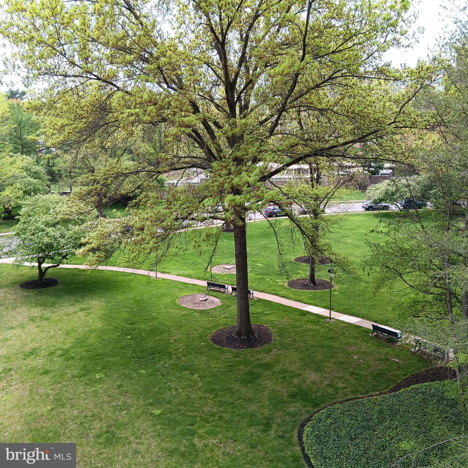 WYNNEWOOD - Residential