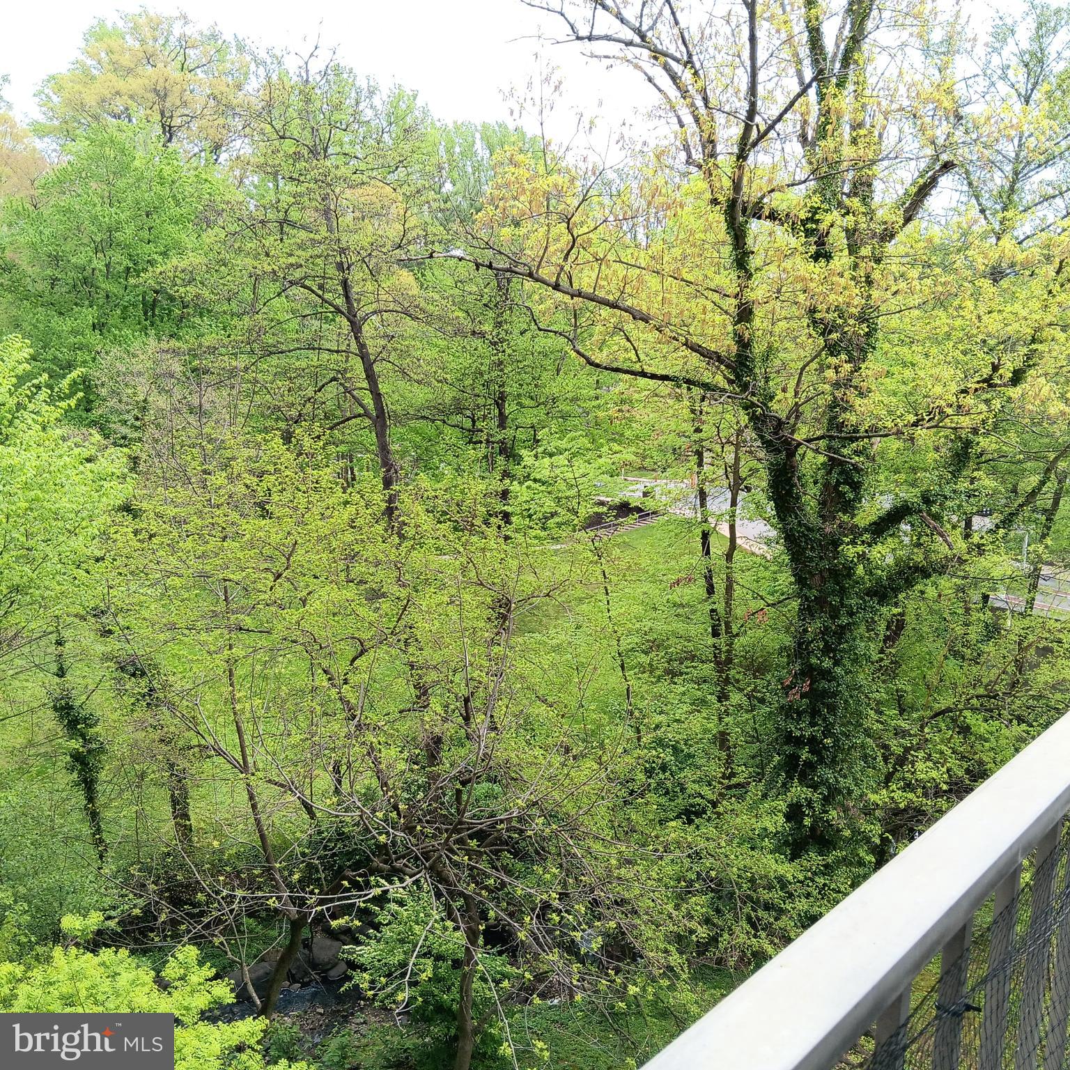 WYNNEWOOD - Residential