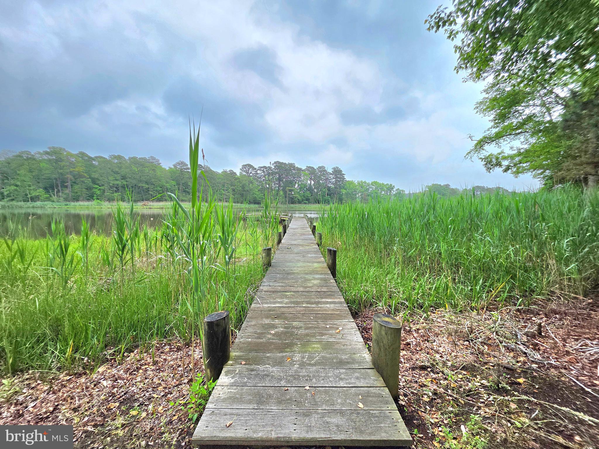 11429 ASSATEAGUE ROAD