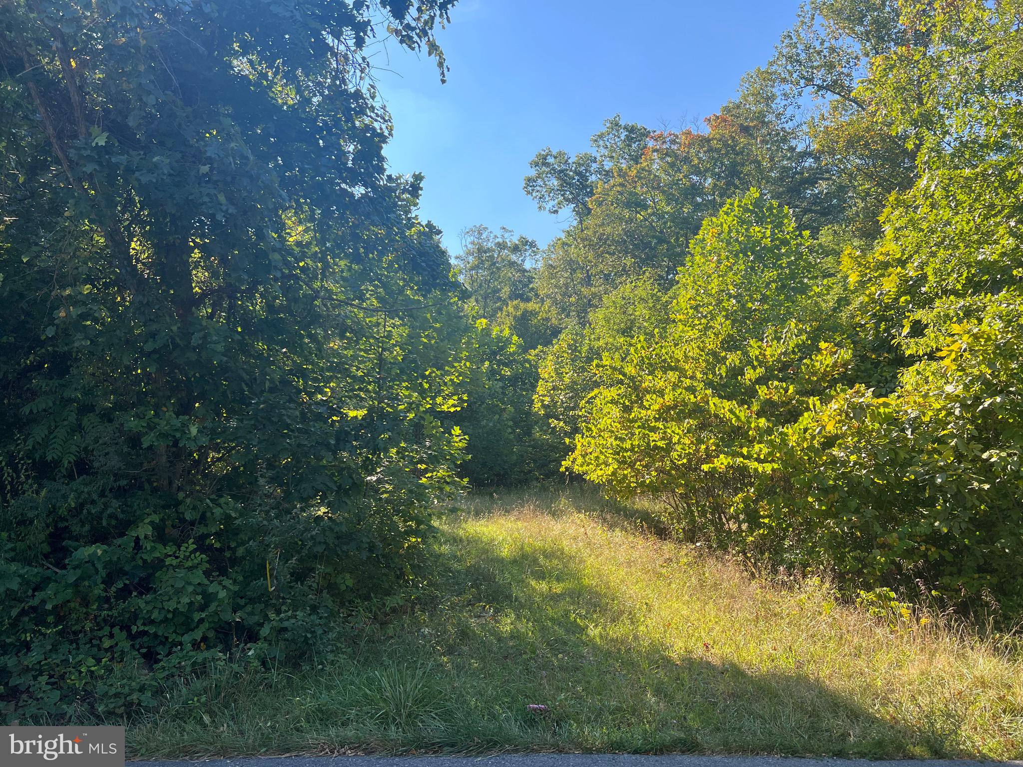 This beautifully wooded lot is conveniently located approximately 10 minutes from downtown Berkeley Springs in one direction, and Cacapon Resort State Park in the other. Just down the road is Cold Run Valley Winery, Berkeley Springs Brewing, and Coolfont's Treetop Lounge and Restaurant. To add to the beauty of the property there is a small wet weather stream that runs through it. With a perc test already completed and letter on file with the Health Department as well as already having a highway entrance permit, this lot is ready and waiting for you to build your dream home! The current tax bill reflects the property before it was subdivided - this property is Map 8 P/O Parcel 4.11 containing 4.9494 acres.