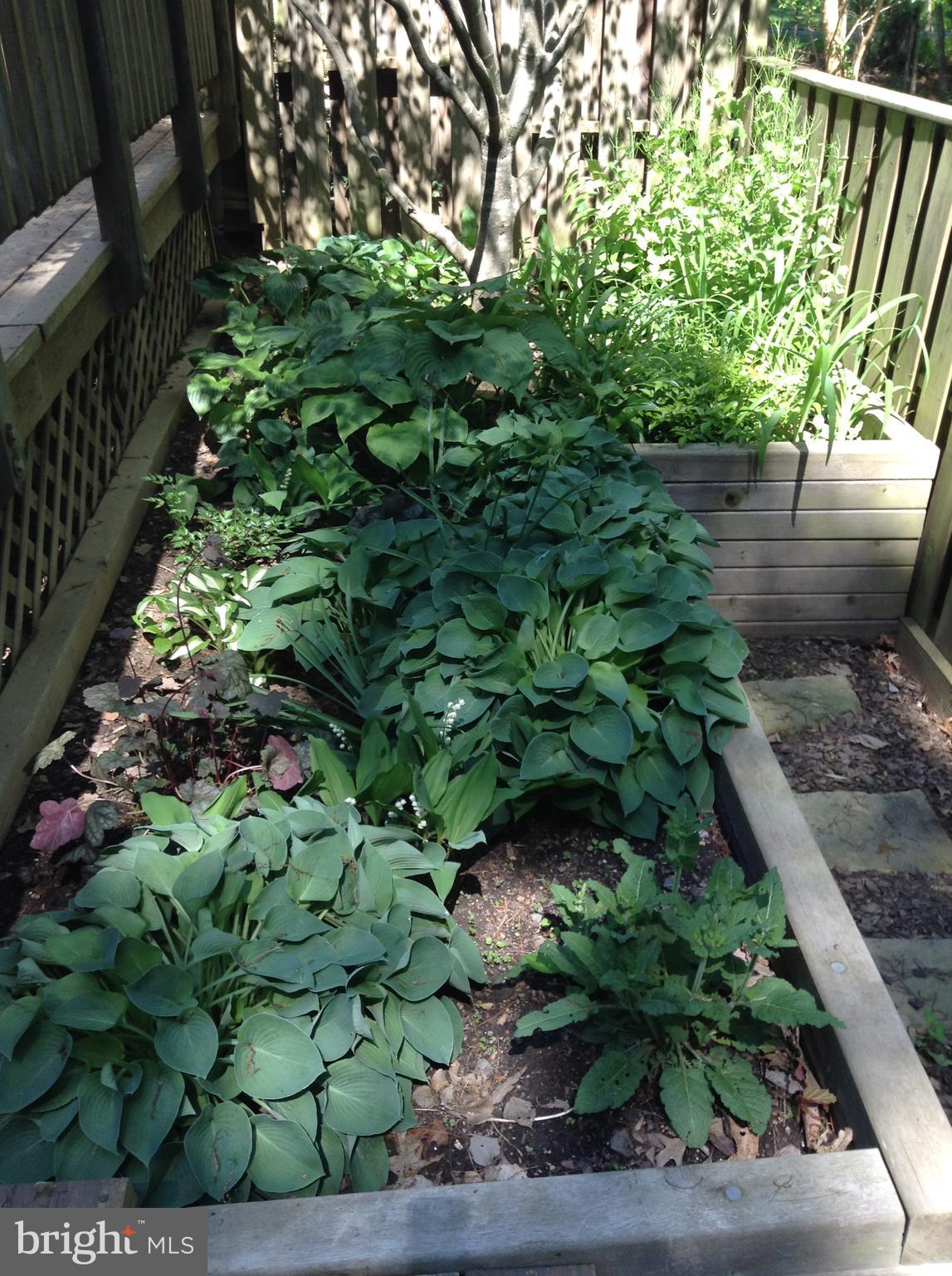 FAIRGREEN CLUSTER - Residential