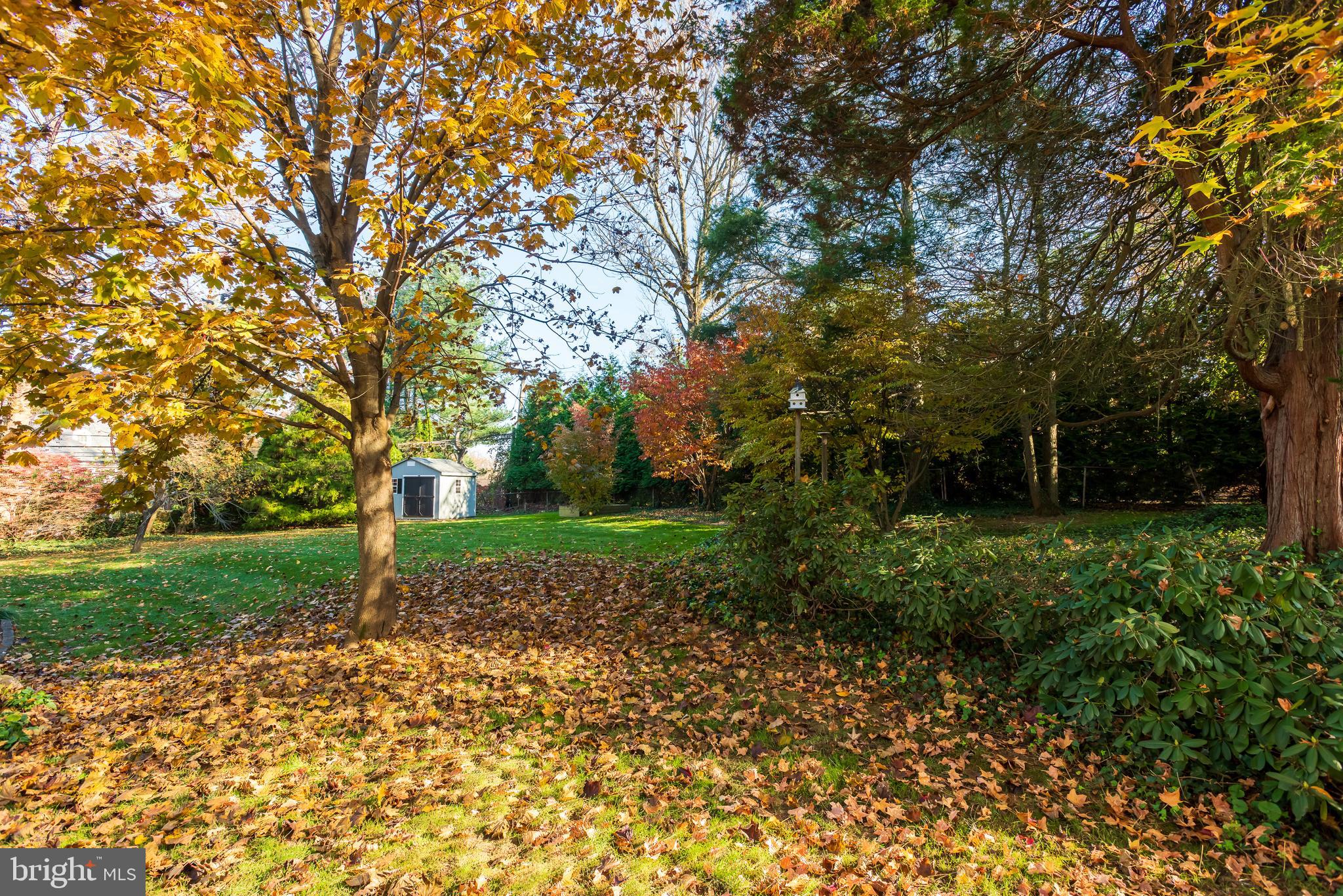 BRYN MAWR - Residential