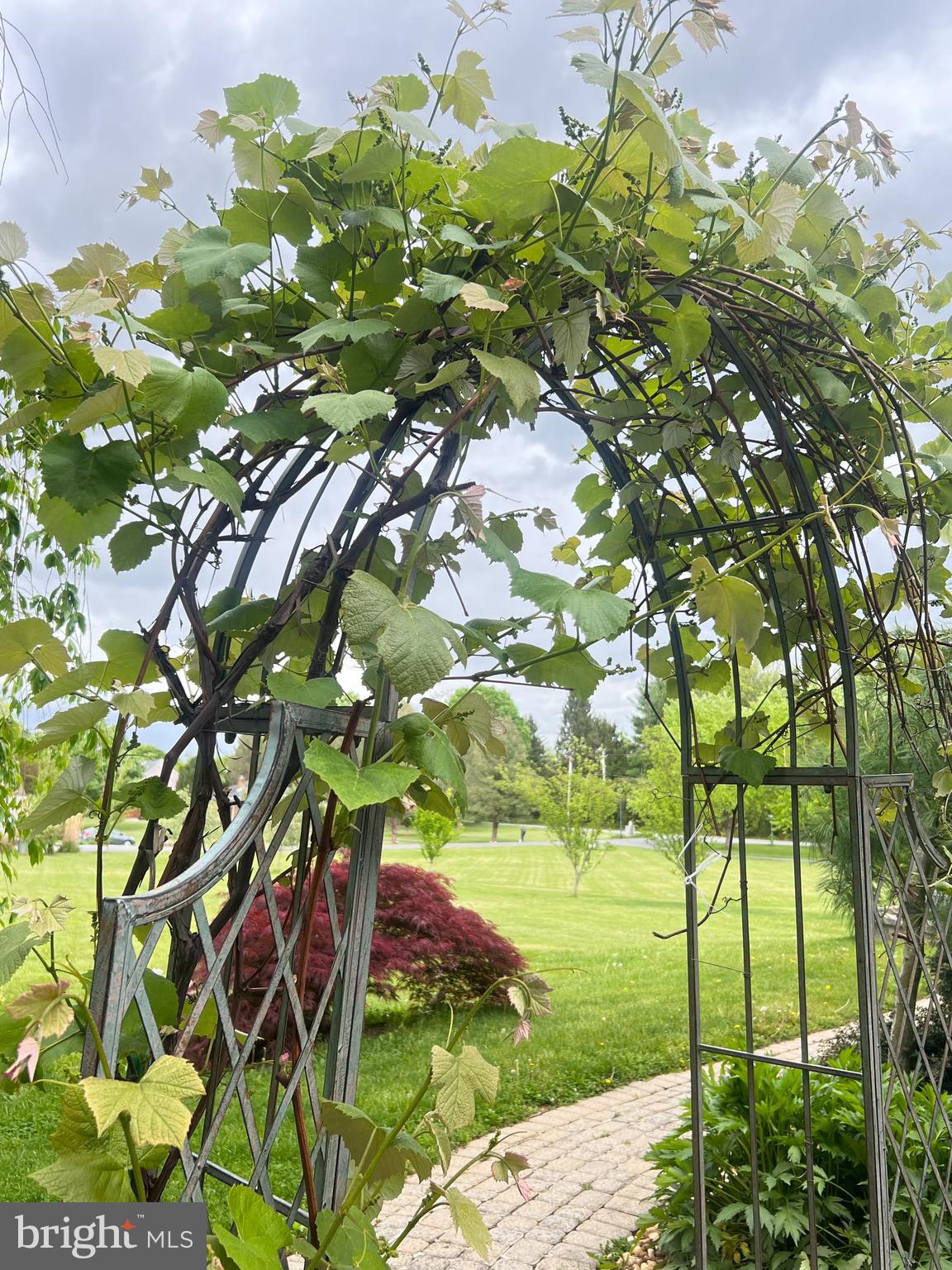 GLENN MEADOWS - Residential