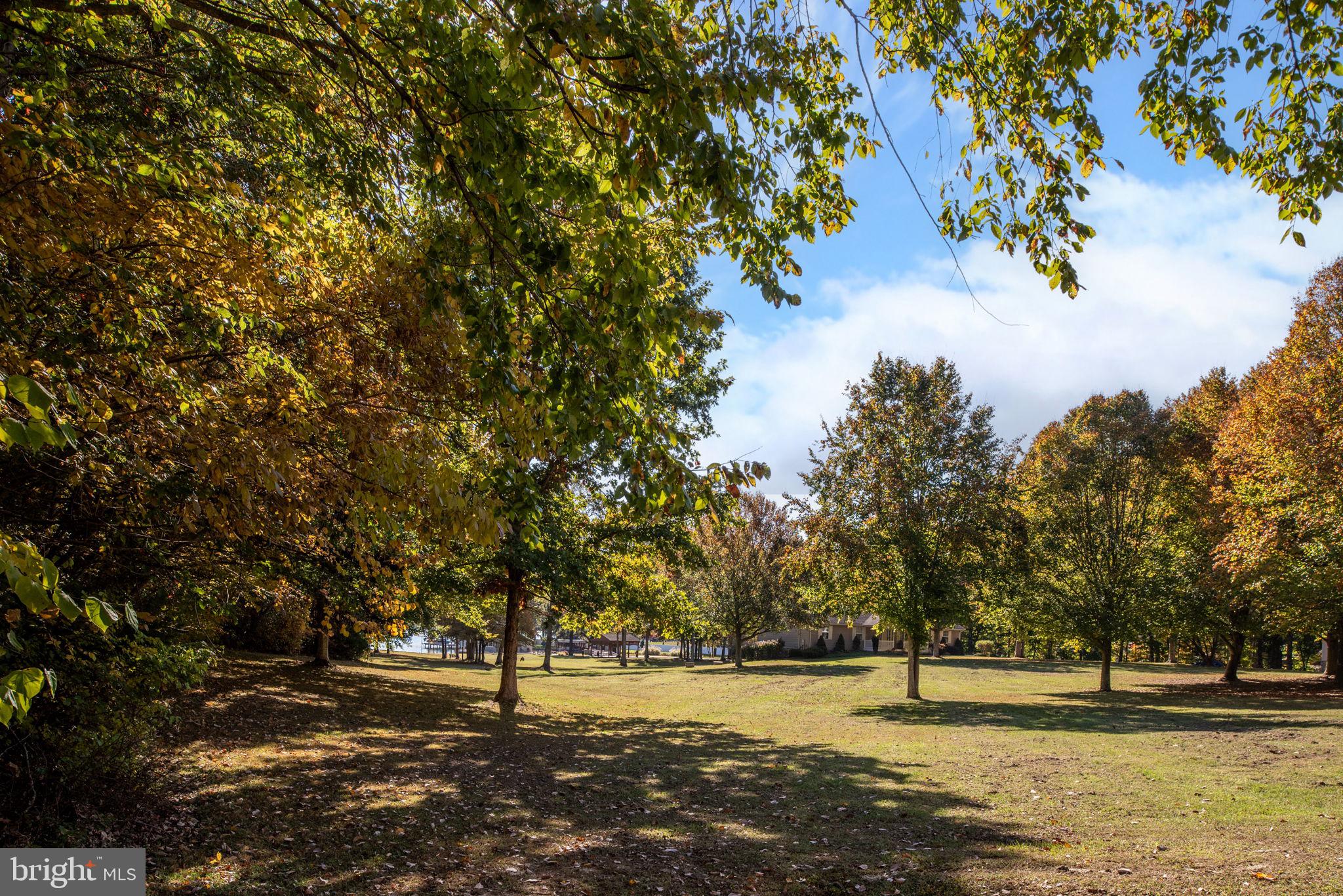 OVERTON FORK - Residential
