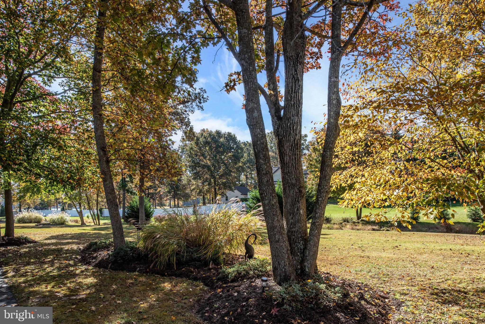 OVERTON FORK - Residential