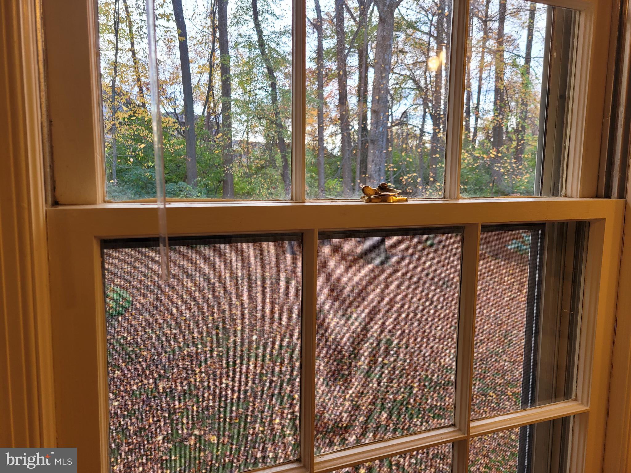 STRATTON COMMONS - Residential Lease