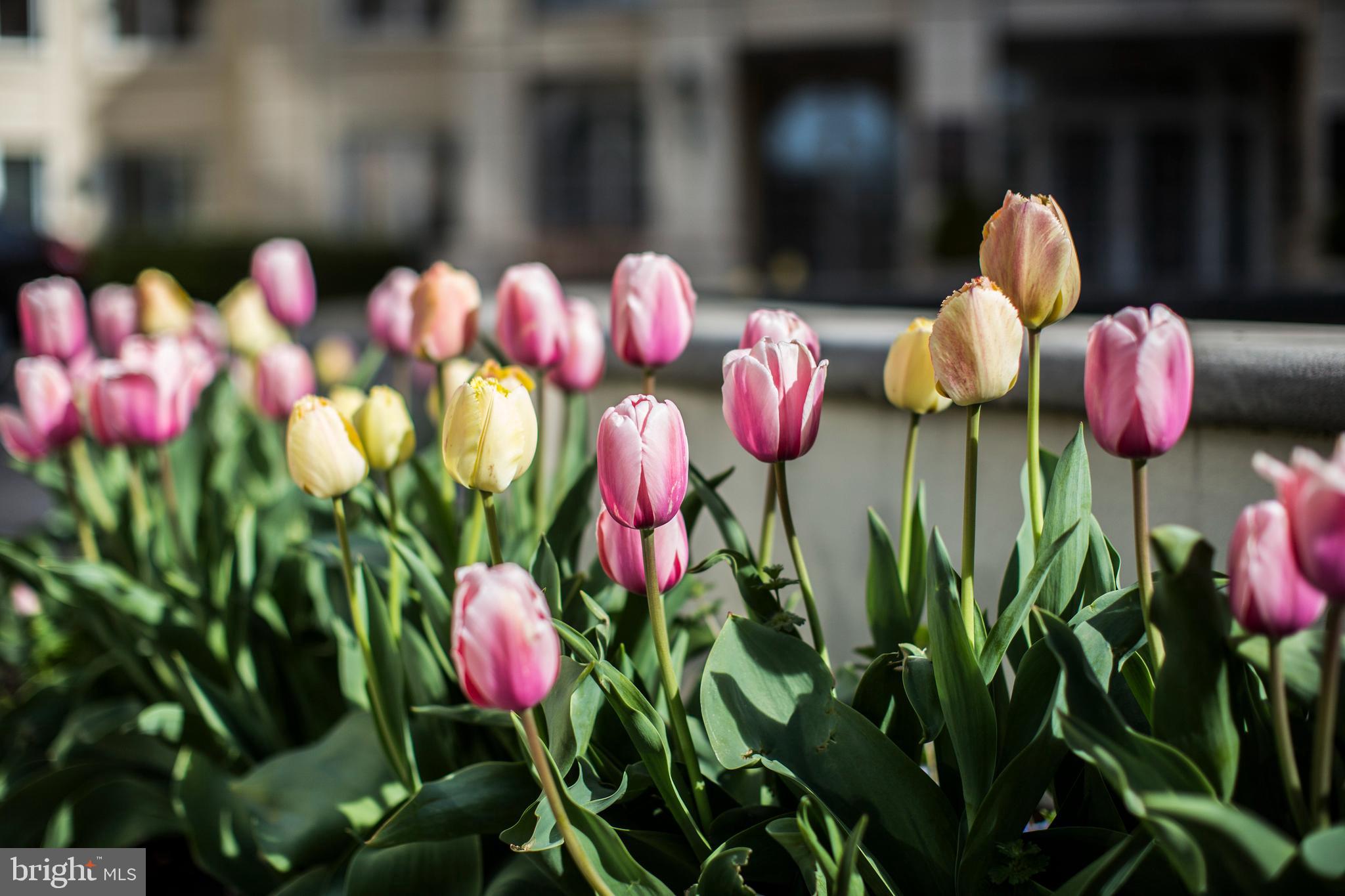 PARK PLACE - Residential