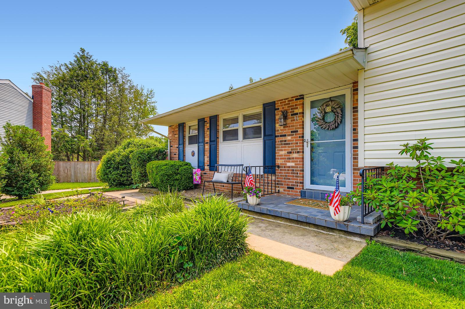 11 WHITE SPRUCE