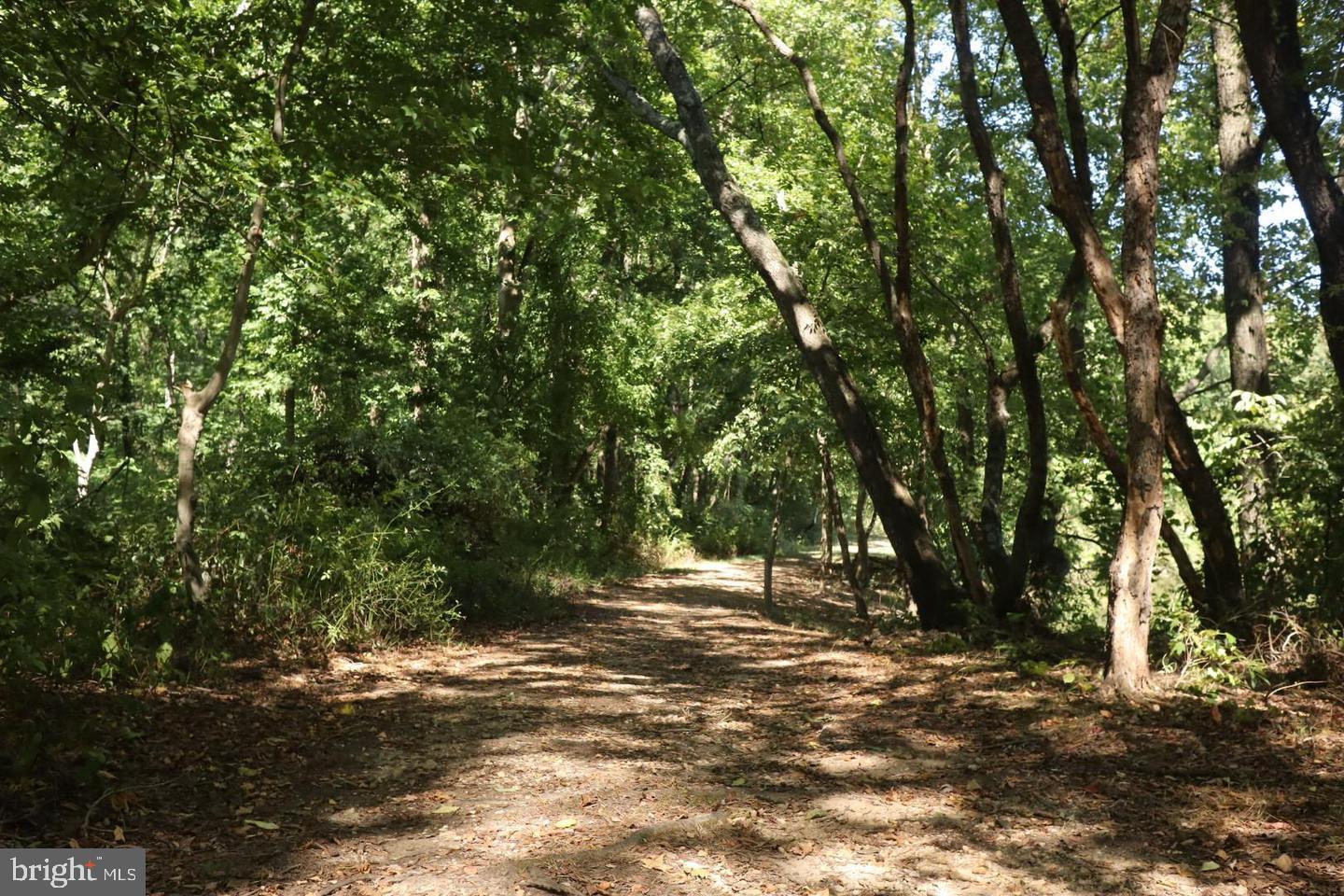 CHESAPEAKE LANDING - Residential