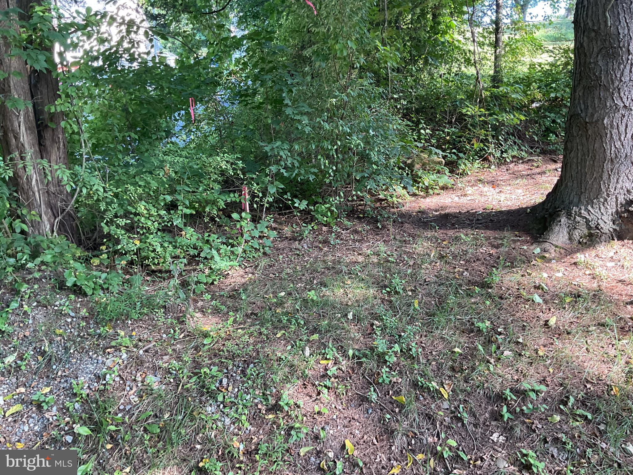 173 WENZEL ROAD
