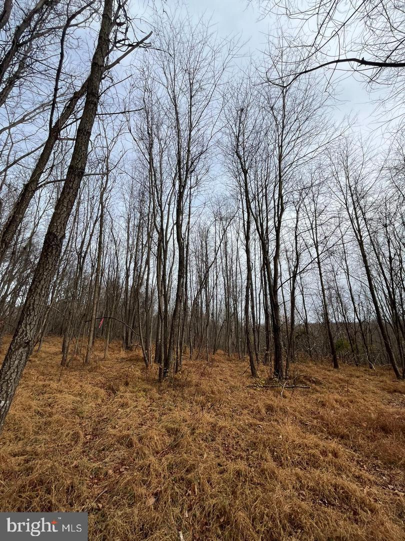 LOT 3E WOODVILLE RD BURKE