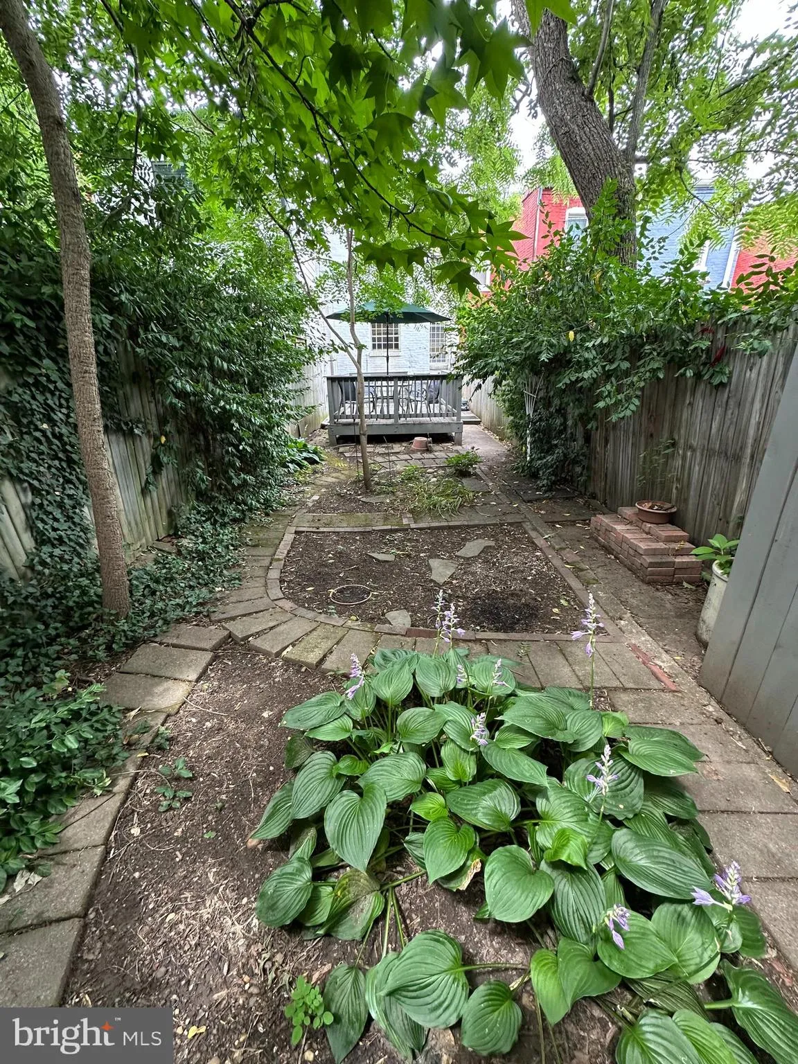 Additional image 69 of 431 5th Street NE, Washington, DC 20002