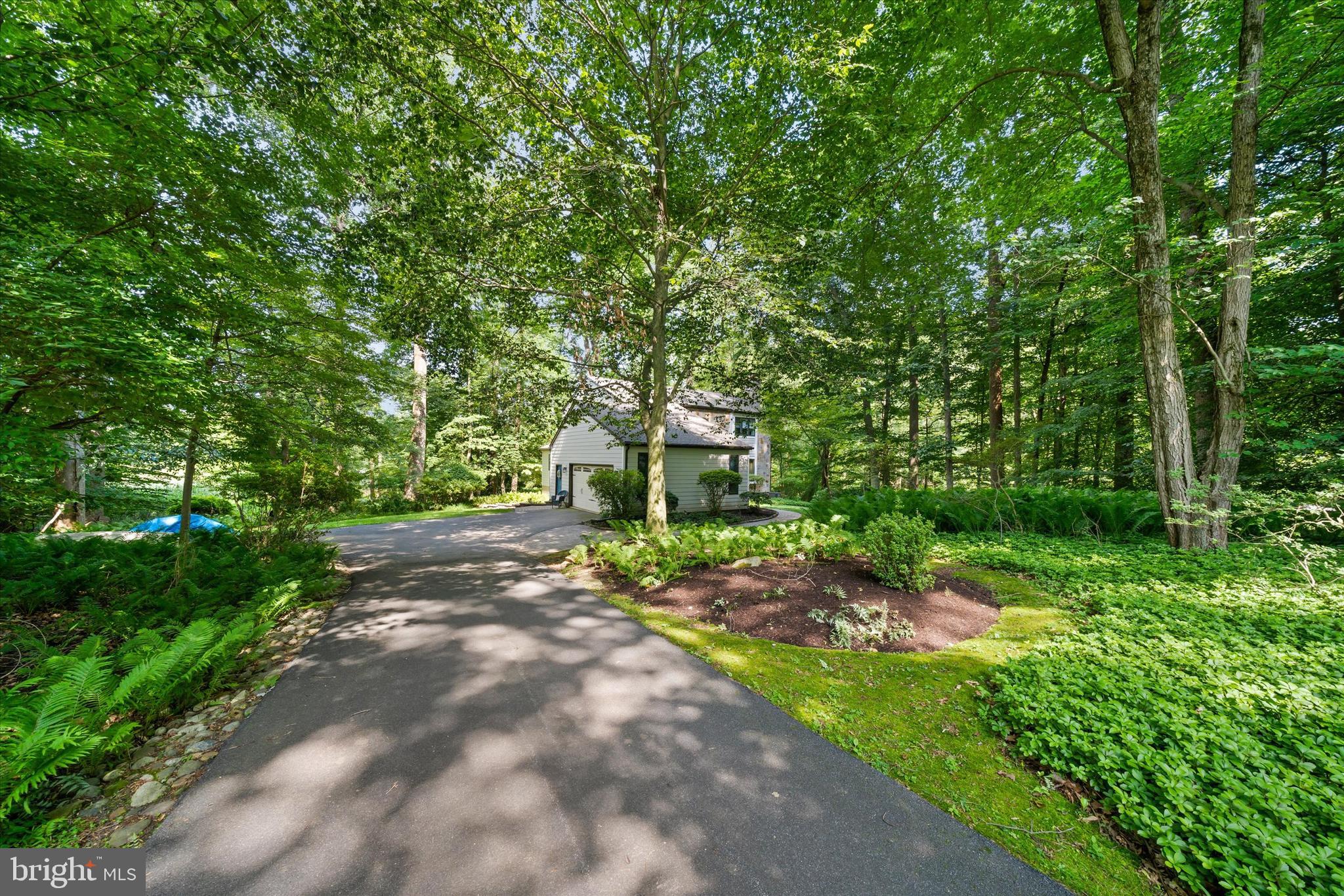 59 CARTER ROAD