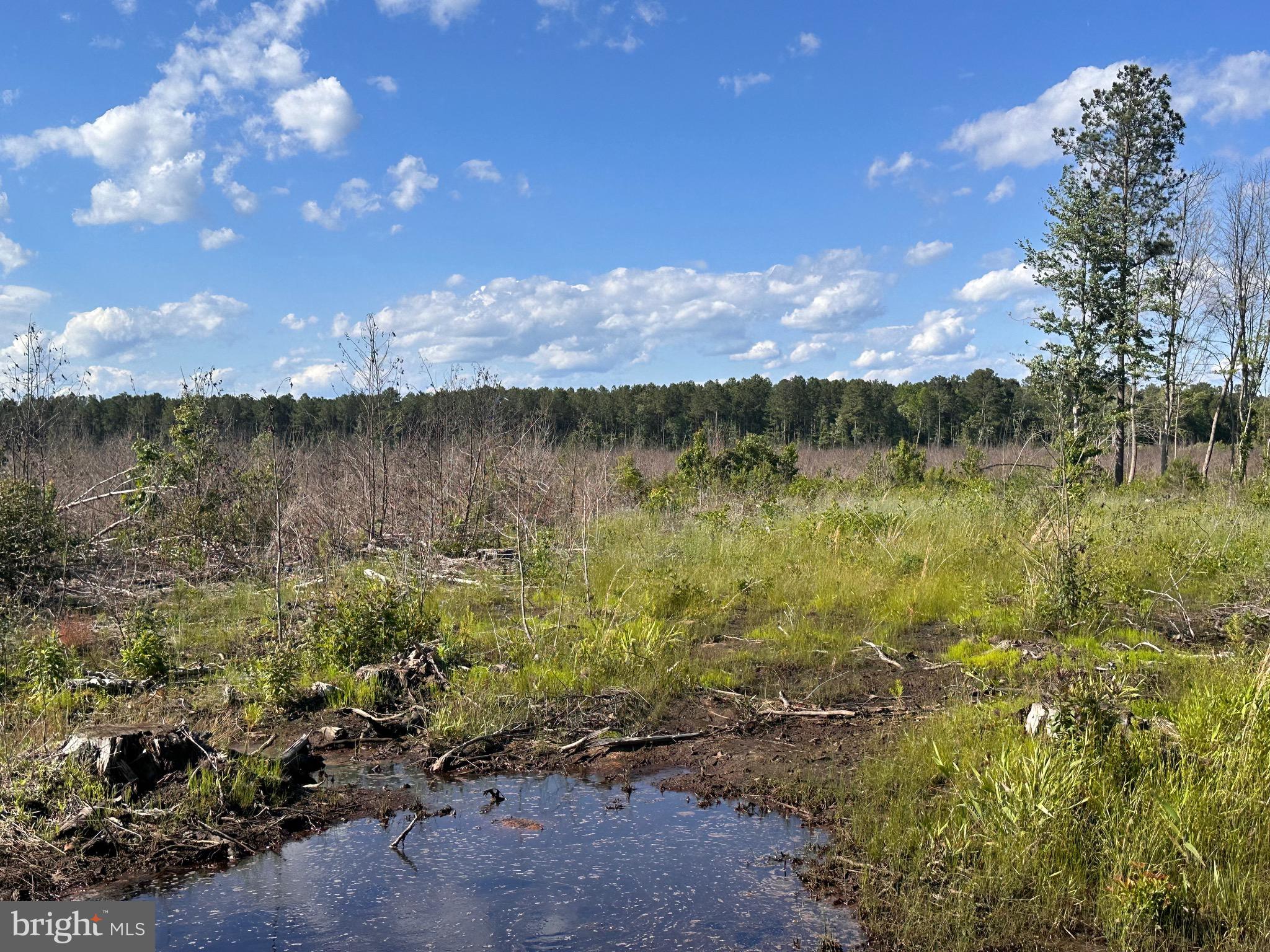 0 MT HOLLY ROAD