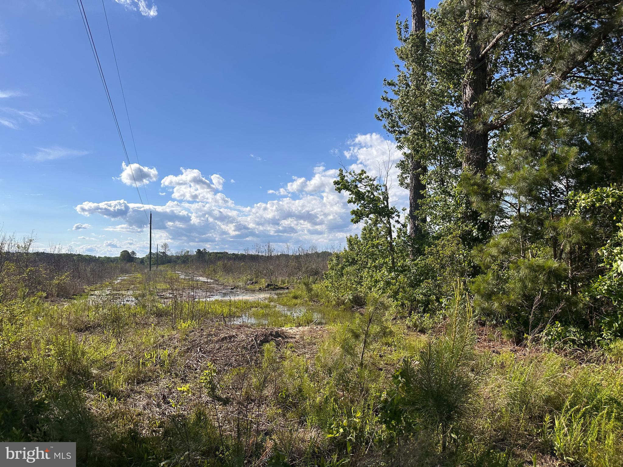 0 MT HOLLY ROAD