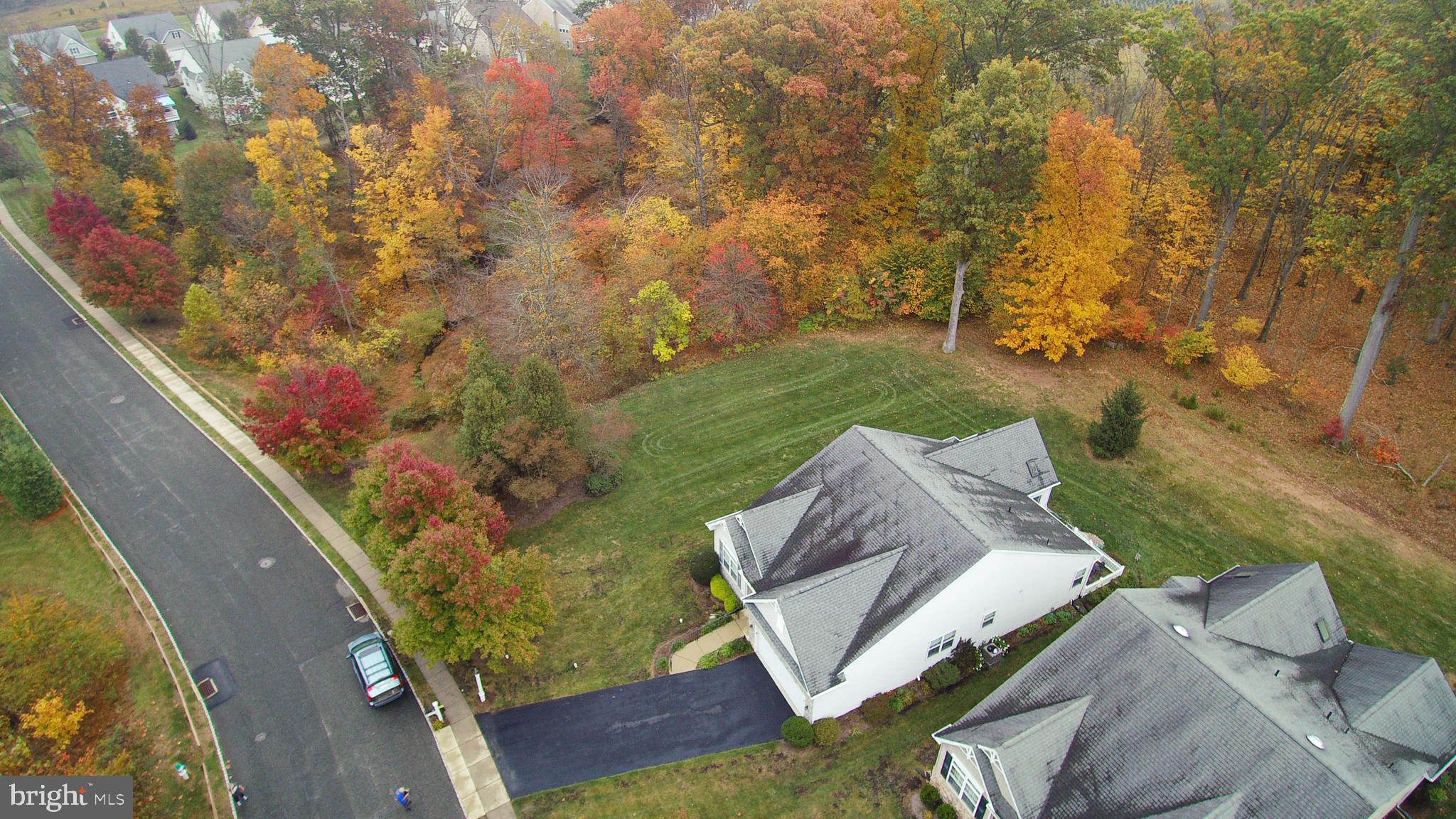 THE MEADOWS AT SKI - Residential