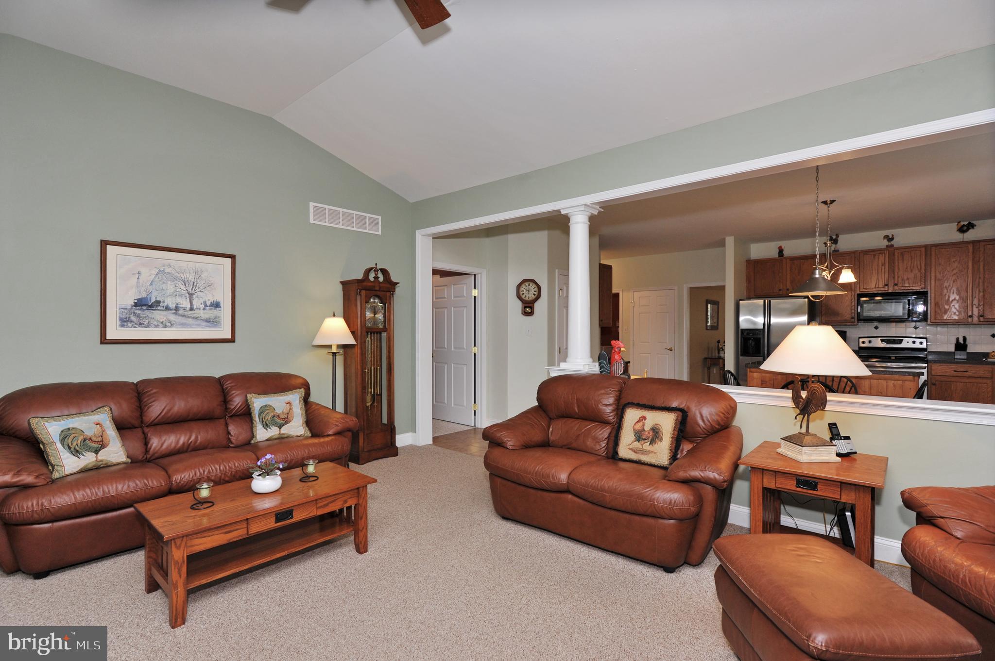 THE MEADOWS AT SKI - Residential