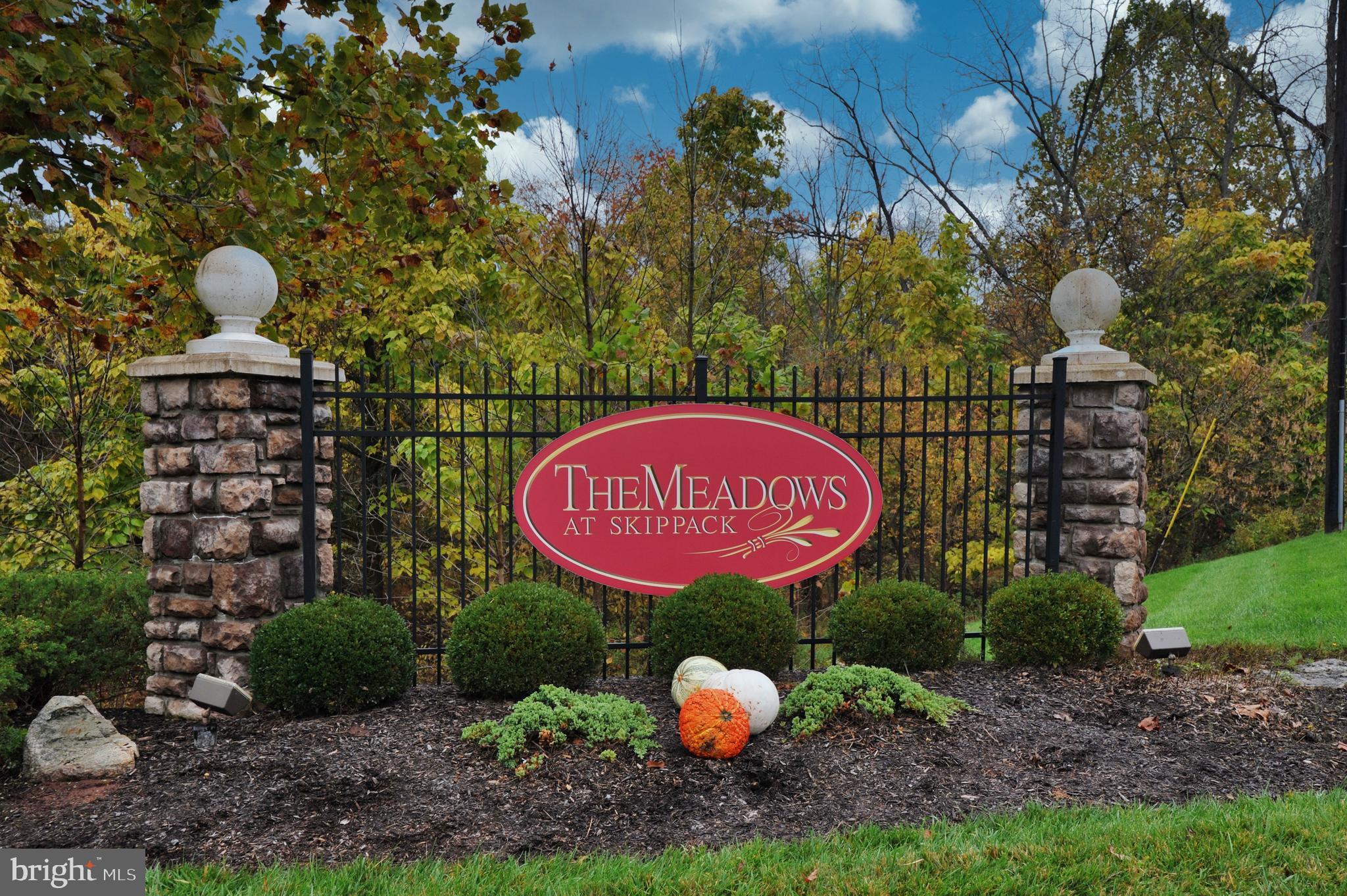 THE MEADOWS AT SKI - Residential