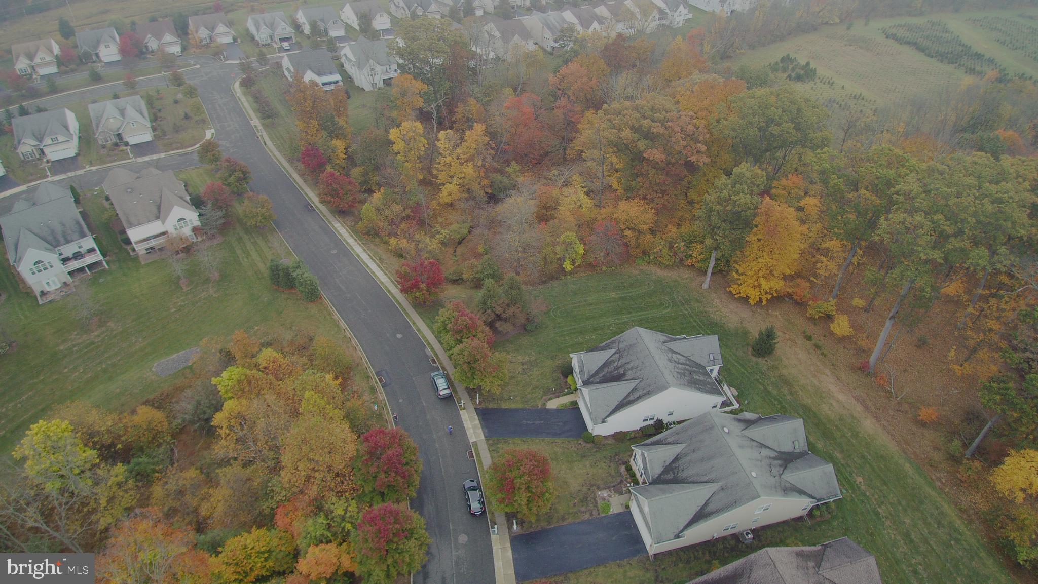 THE MEADOWS AT SKI - Residential