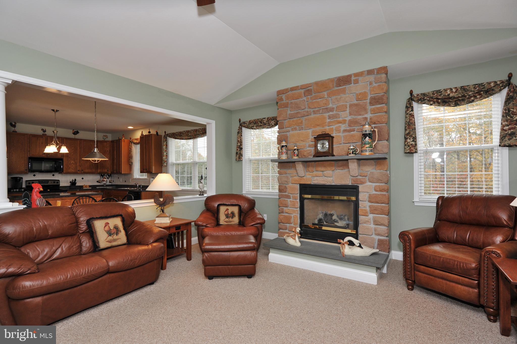 THE MEADOWS AT SKI - Residential