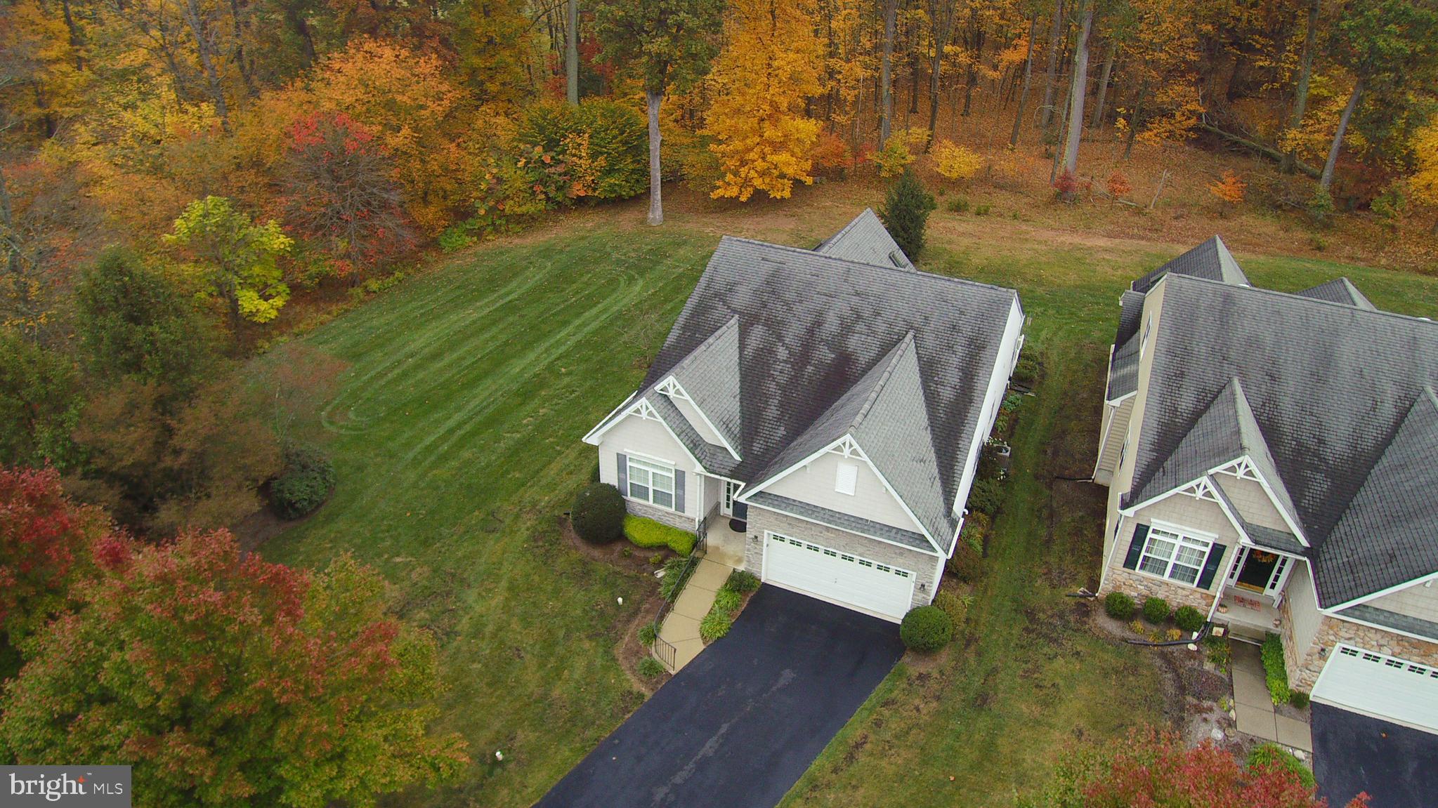 THE MEADOWS AT SKI - Residential