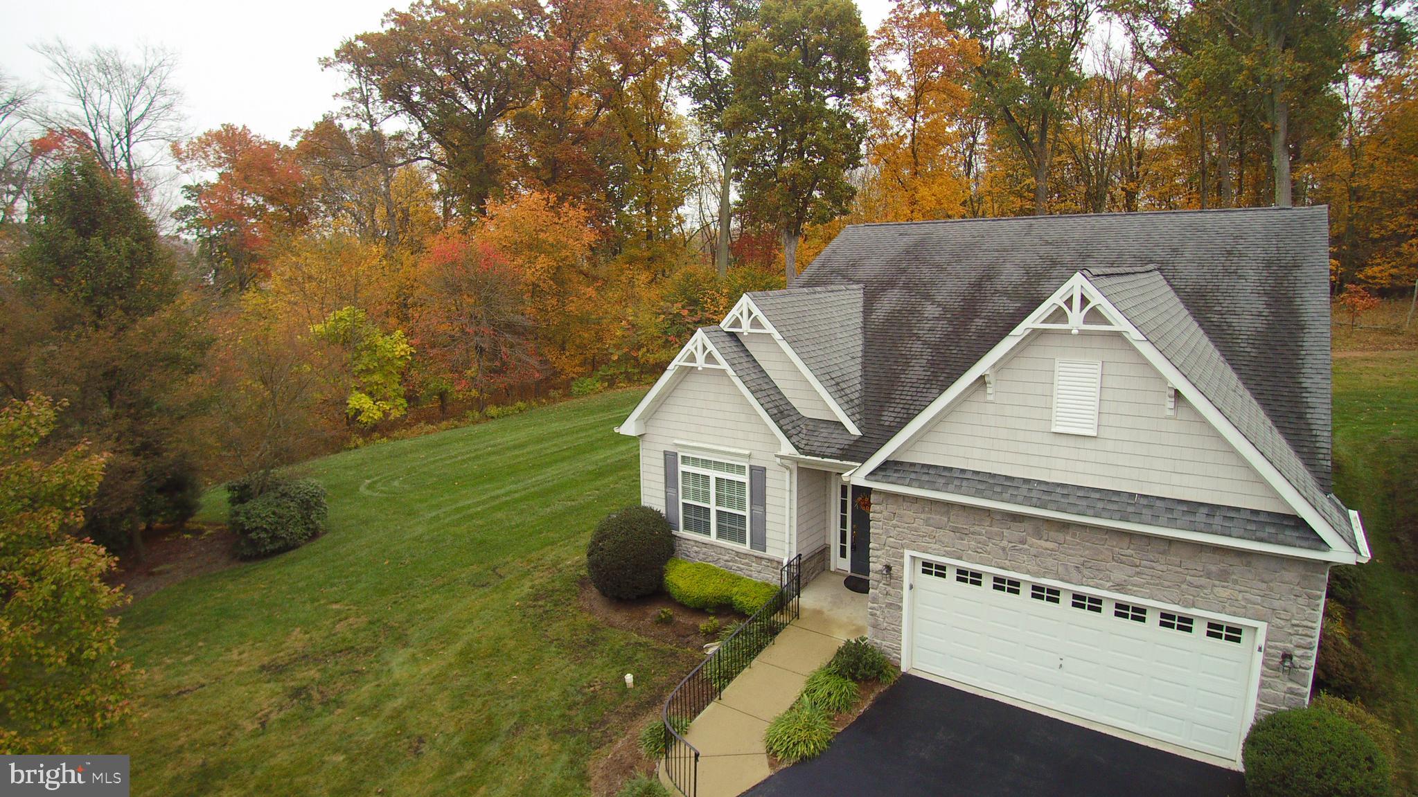 THE MEADOWS AT SKI - Residential