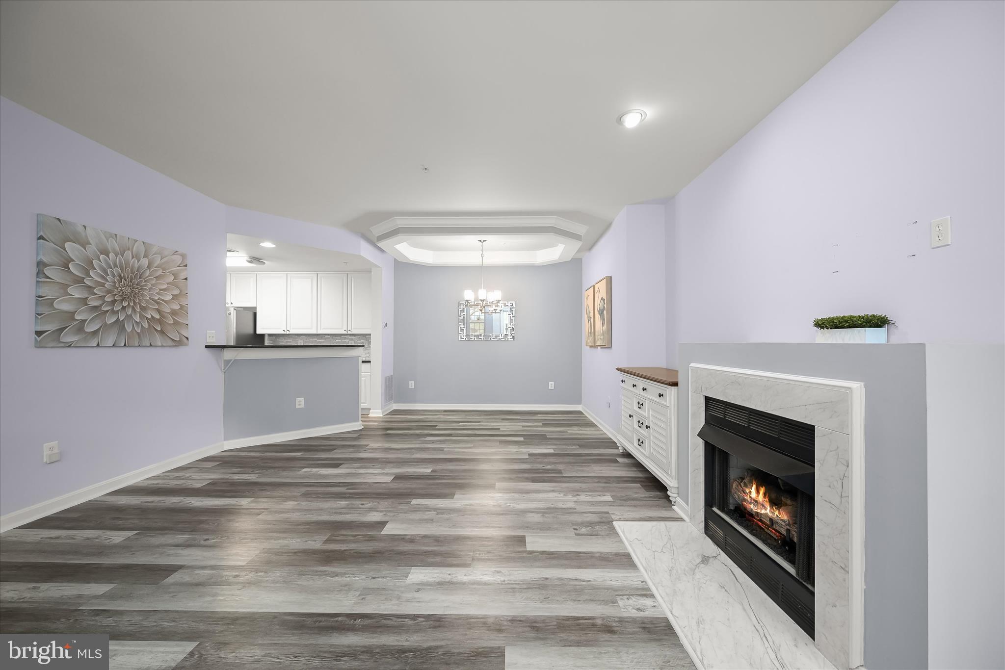 THE WHITNEY TOWN CENTER - Residential