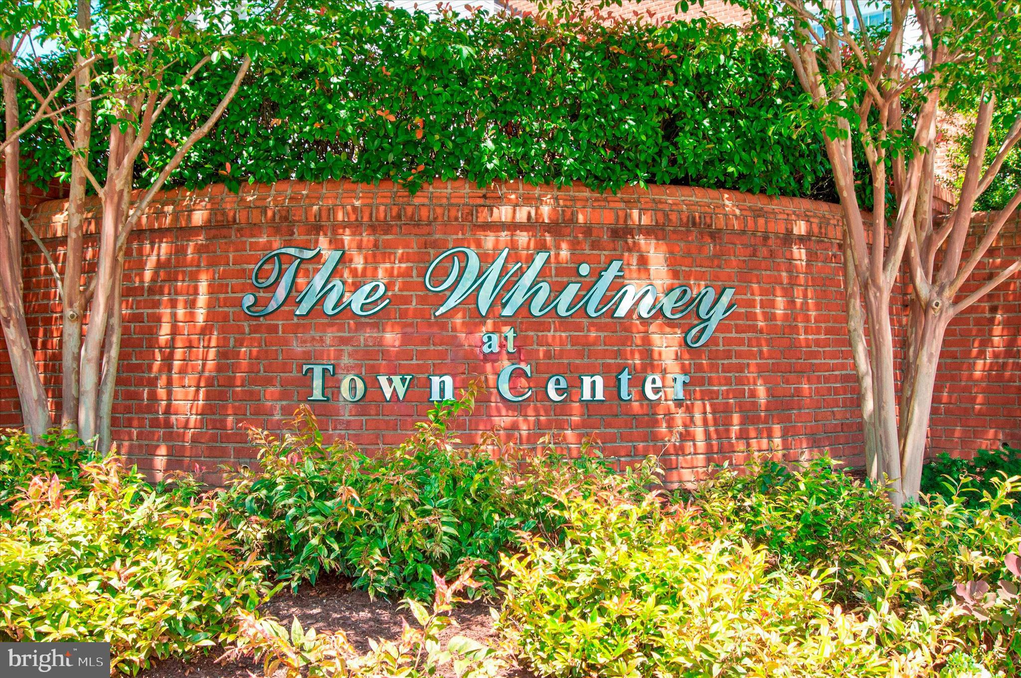 THE WHITNEY TOWN CENTER - Residential
