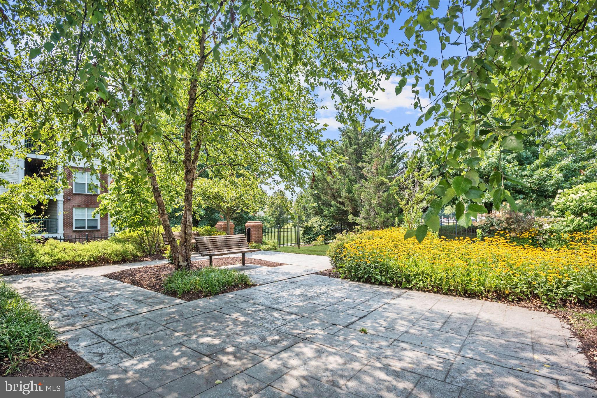 THE WHITNEY TOWN CENTER - Residential