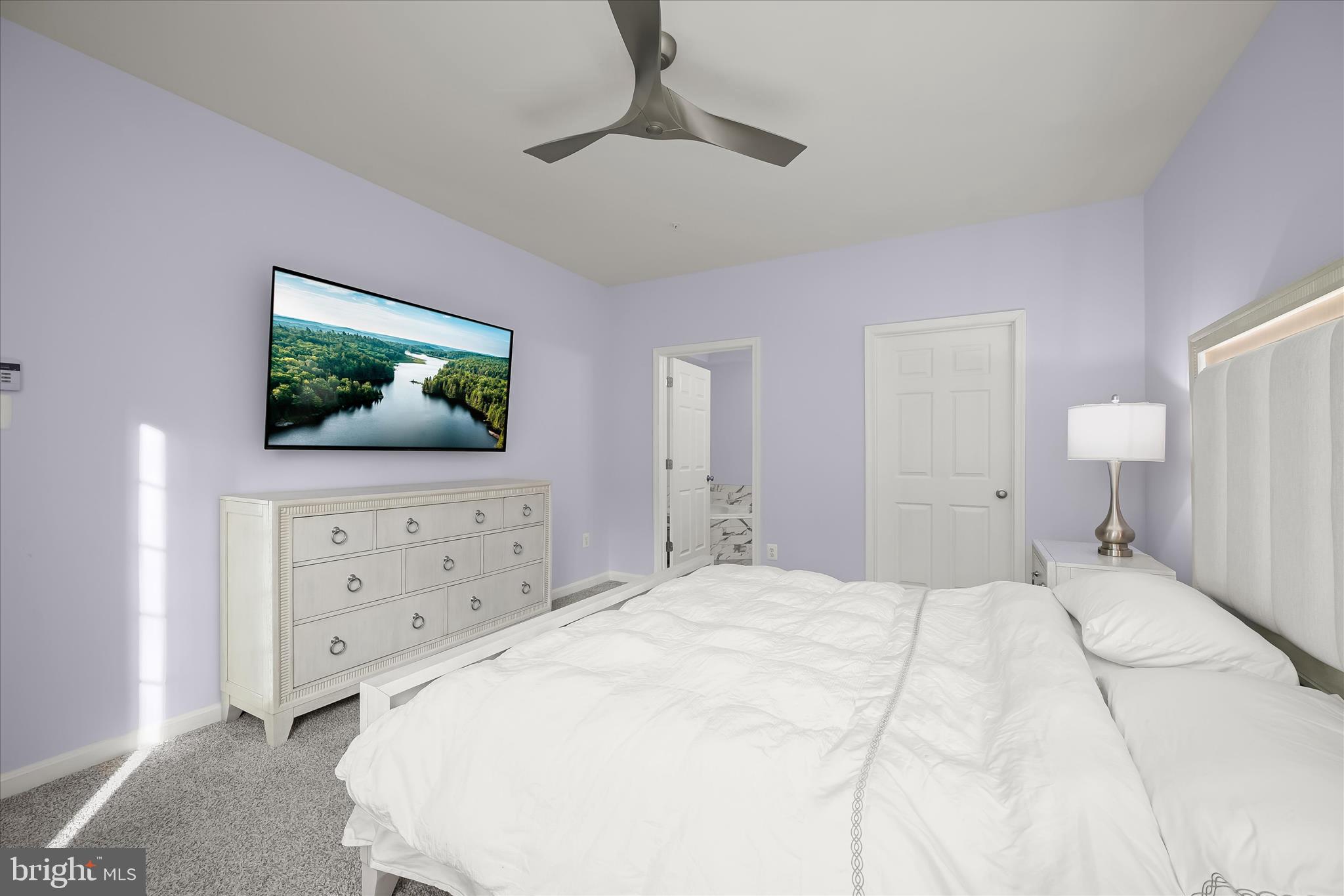 THE WHITNEY TOWN CENTER - Residential