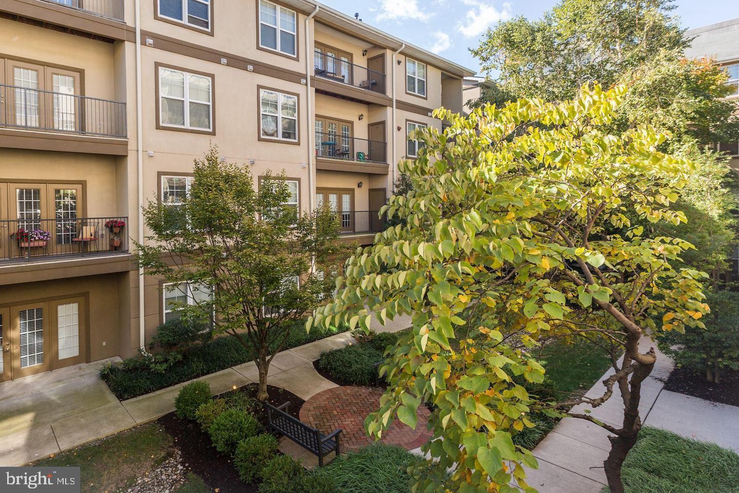 11800 OLD GEORGETOWN 1206