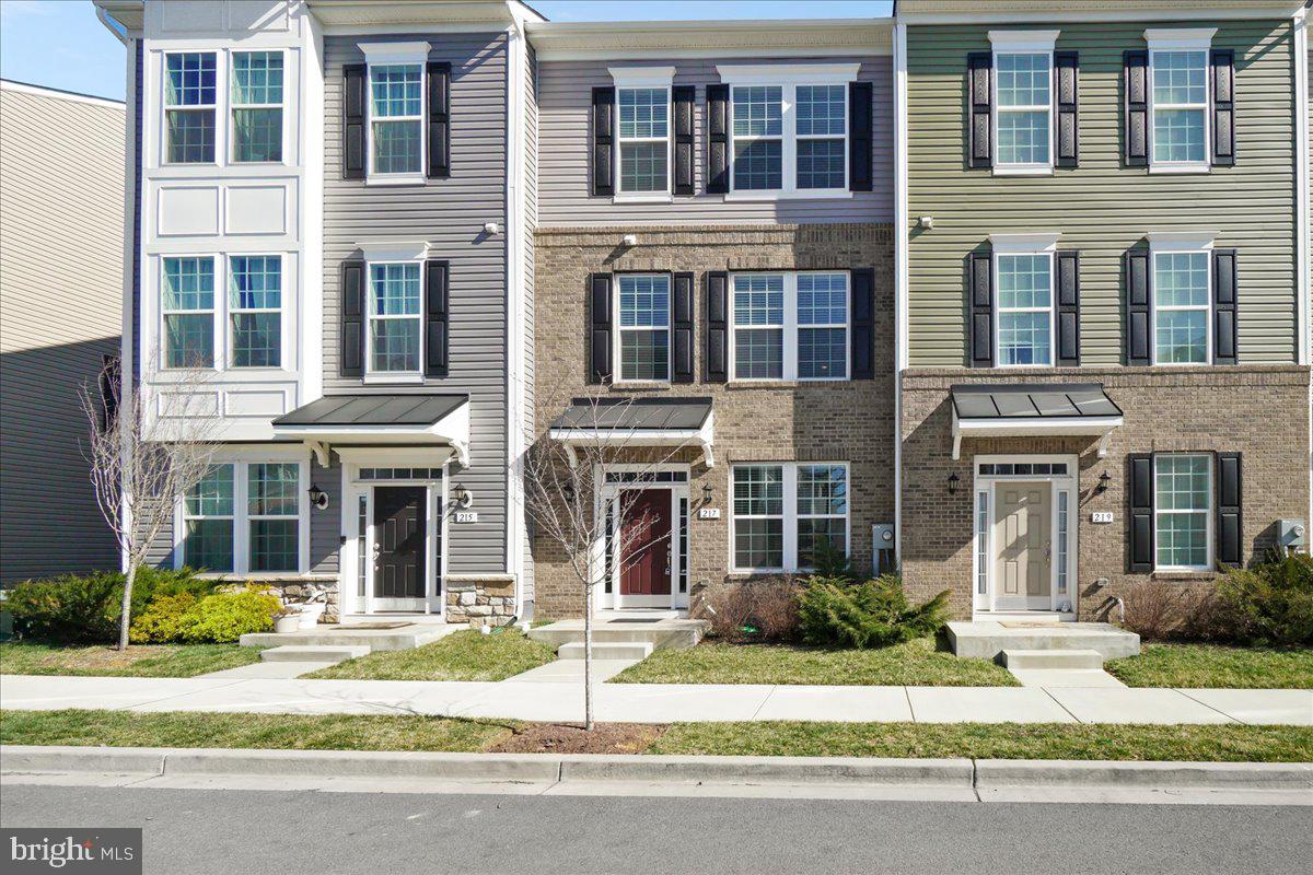 SPRING BANK - Residential Lease