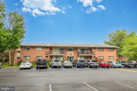 7350 LEE HIGHWAY T1 FALLS CHURCH VA 22046