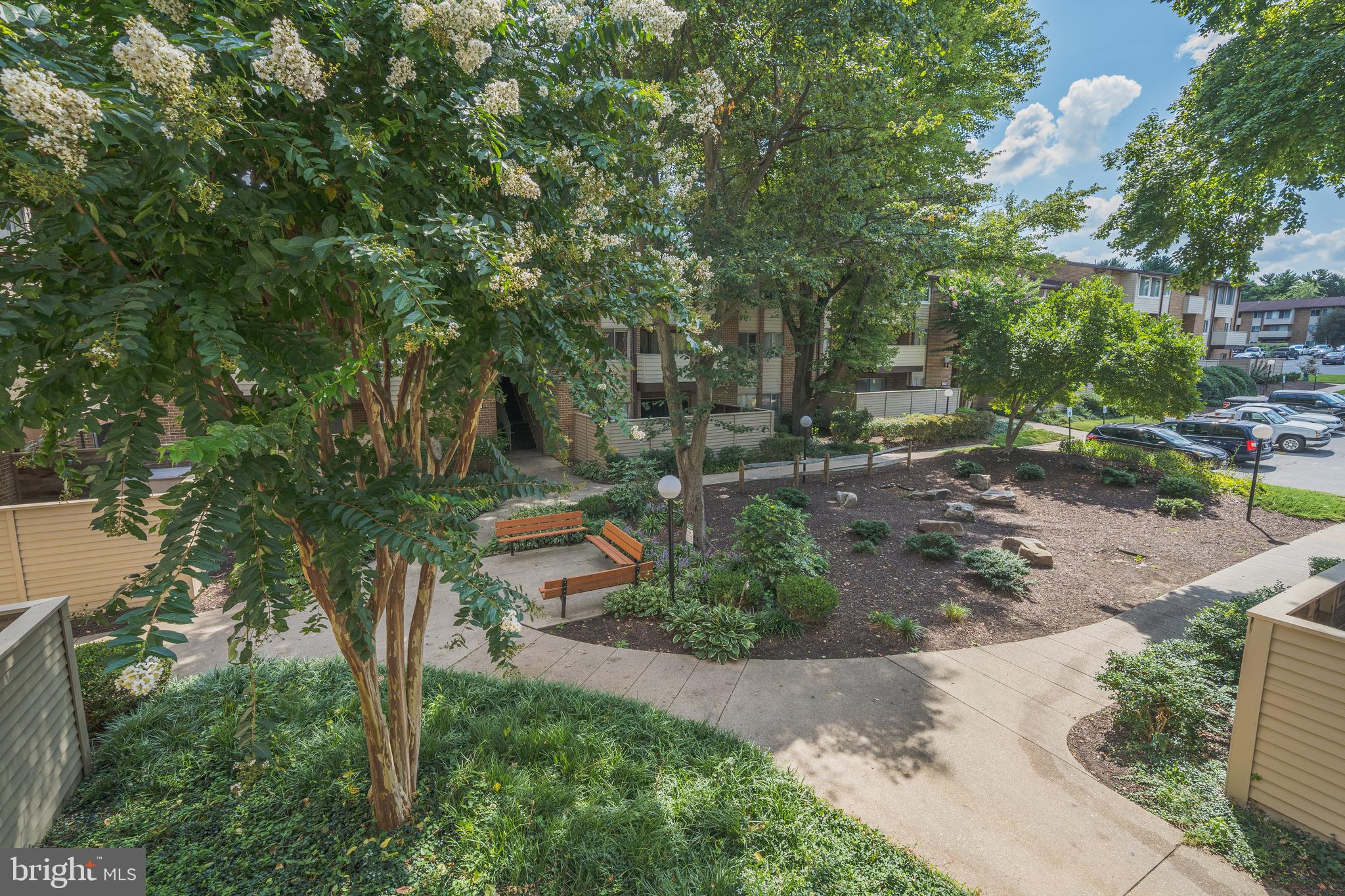 THOMAS CHOICE - Residential Lease